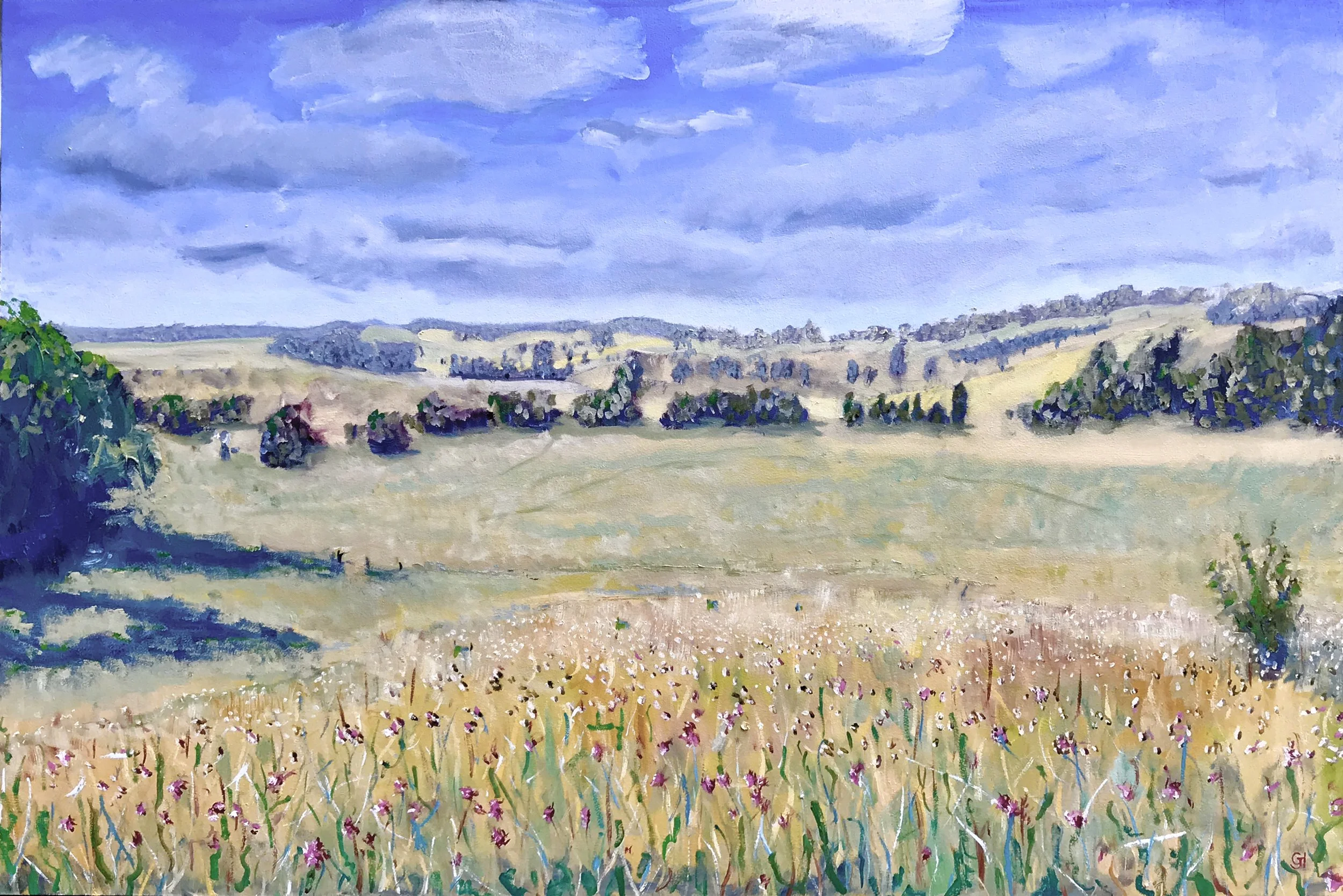 View from Vicki's Studio ( 120 x 80 cm)
