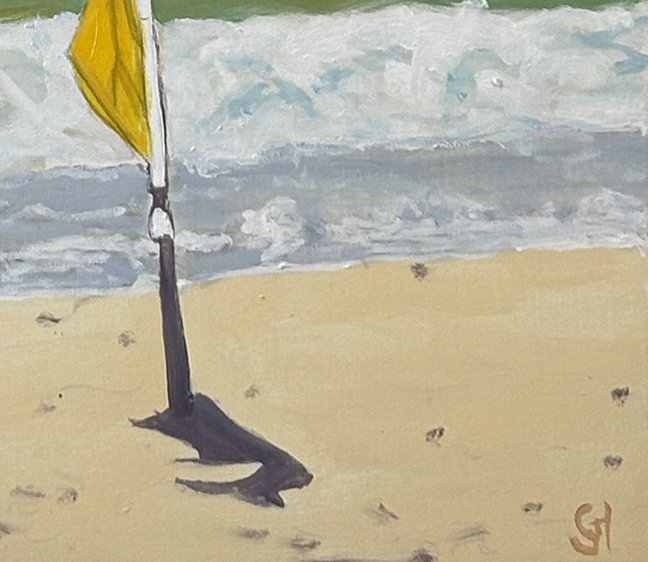 Wooli Beach Lifesaver flagsignature.jpg