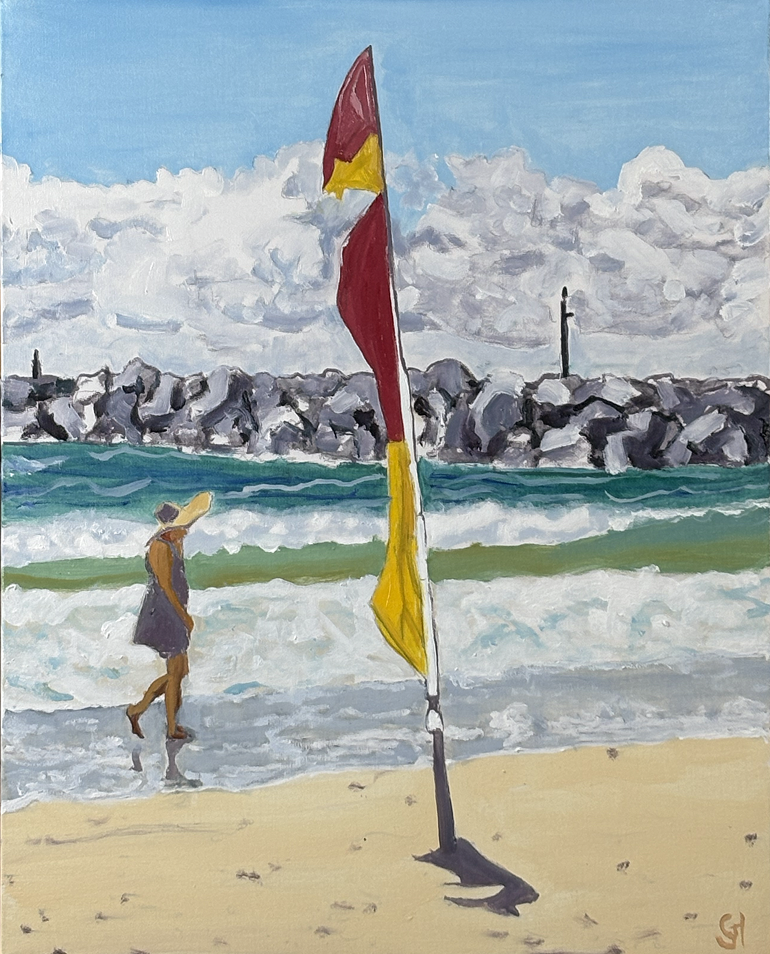 Wooli Beach Lifesaver flag.jpg