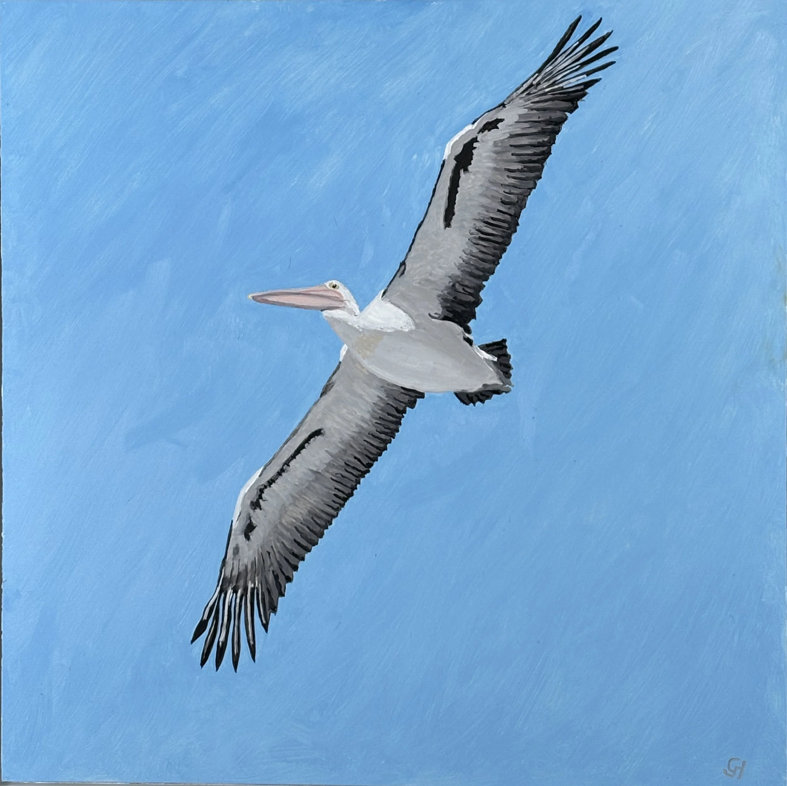 Pelican Flight