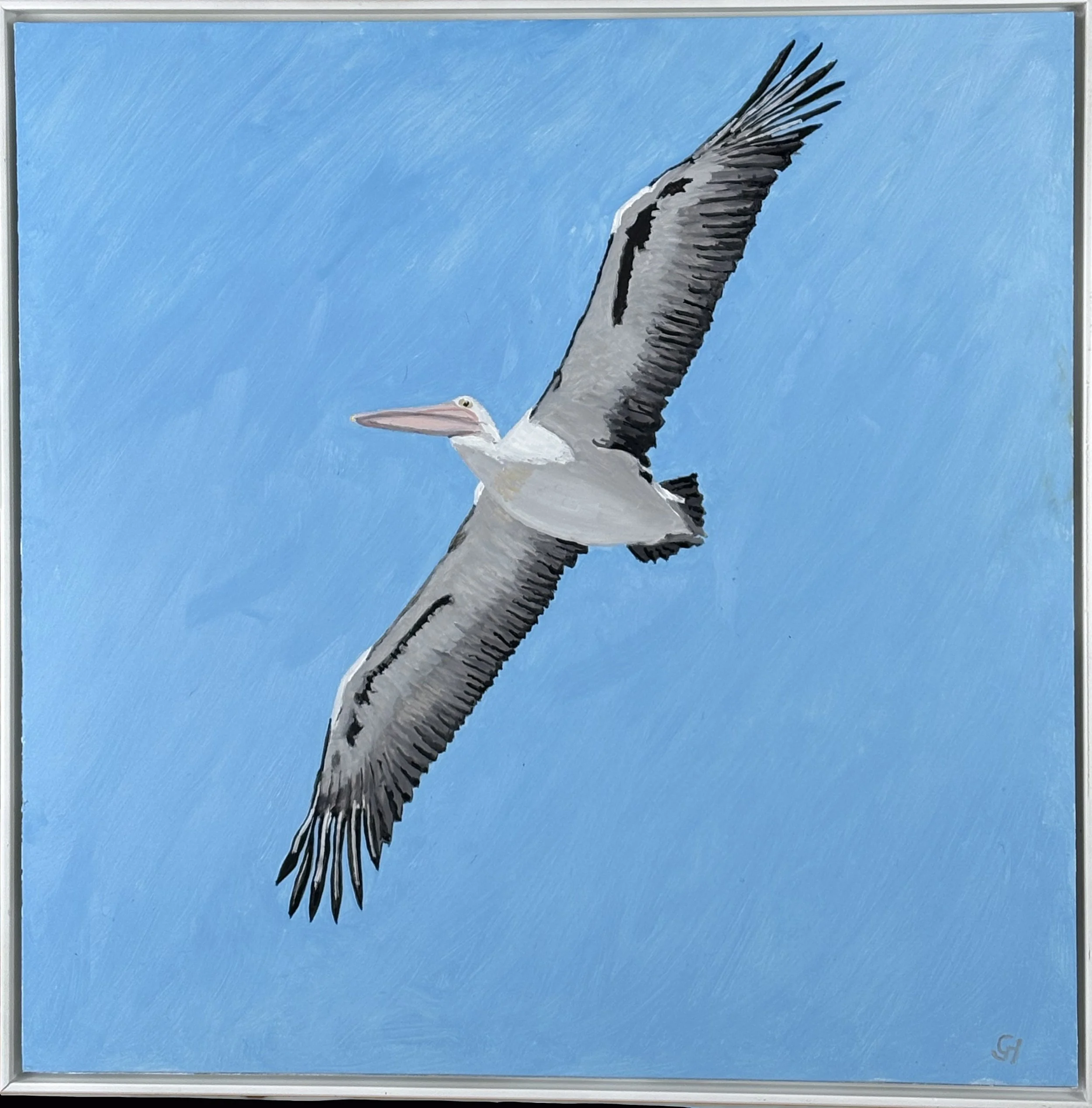 Pelican Flight framed.jpg