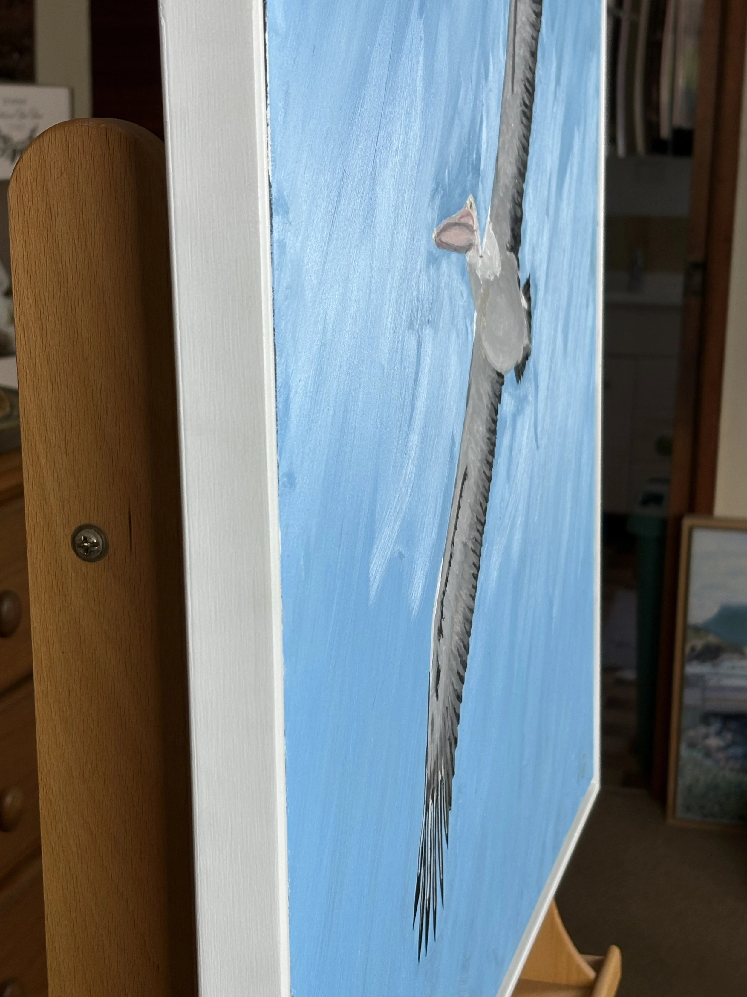 Pelican Flight Edge.jpg