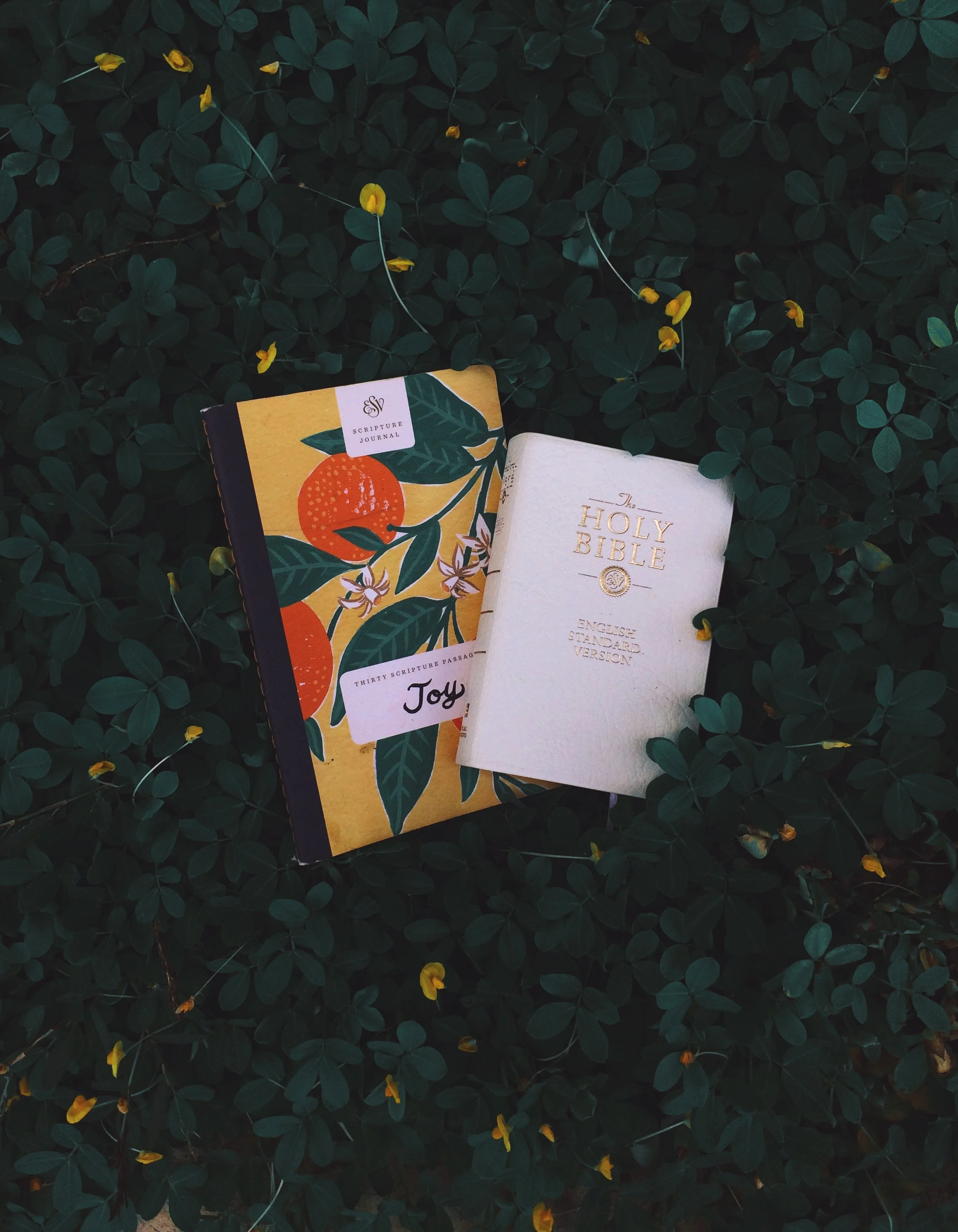 Wouldn't You Love a Life Manual?