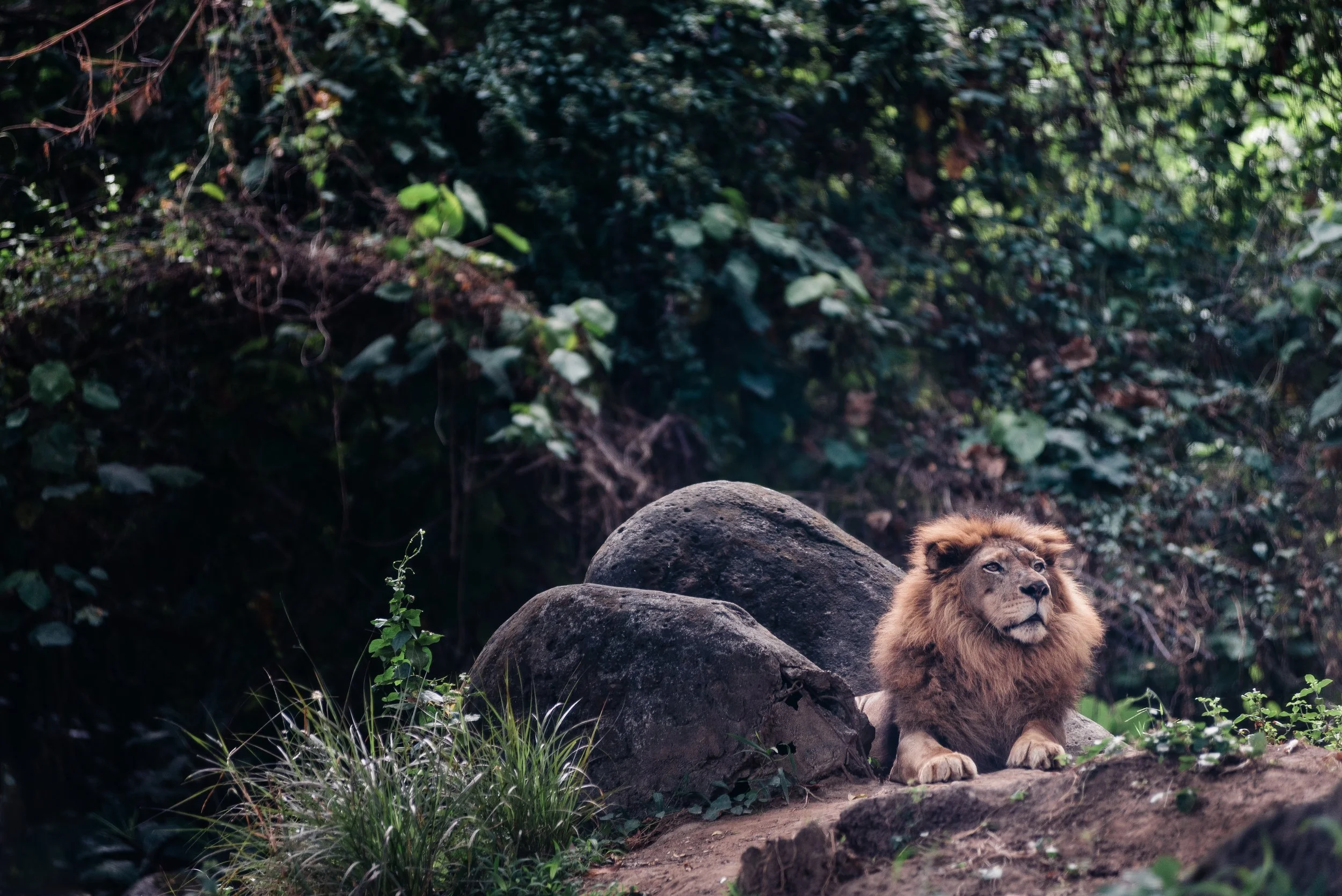 GUEST SUBMISSION: What's a King to a Queen? 