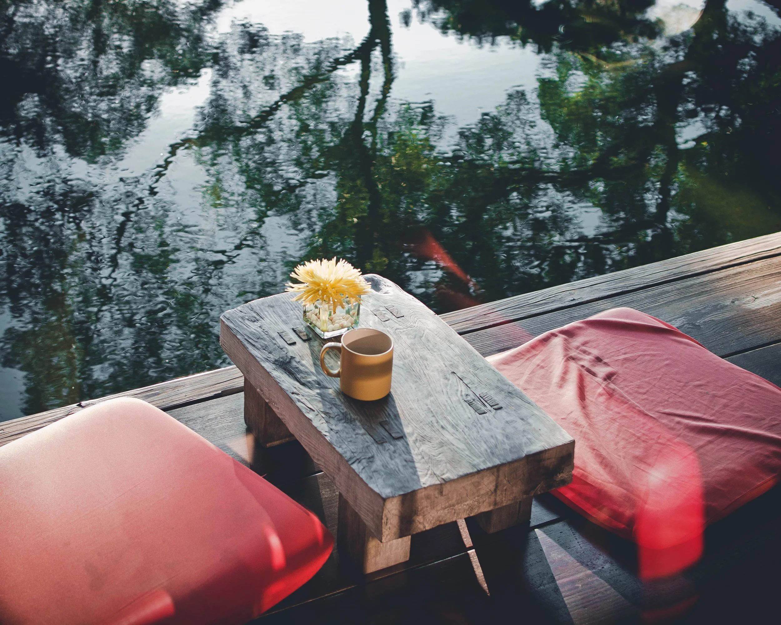 Lessons From Stillness About Expectancy