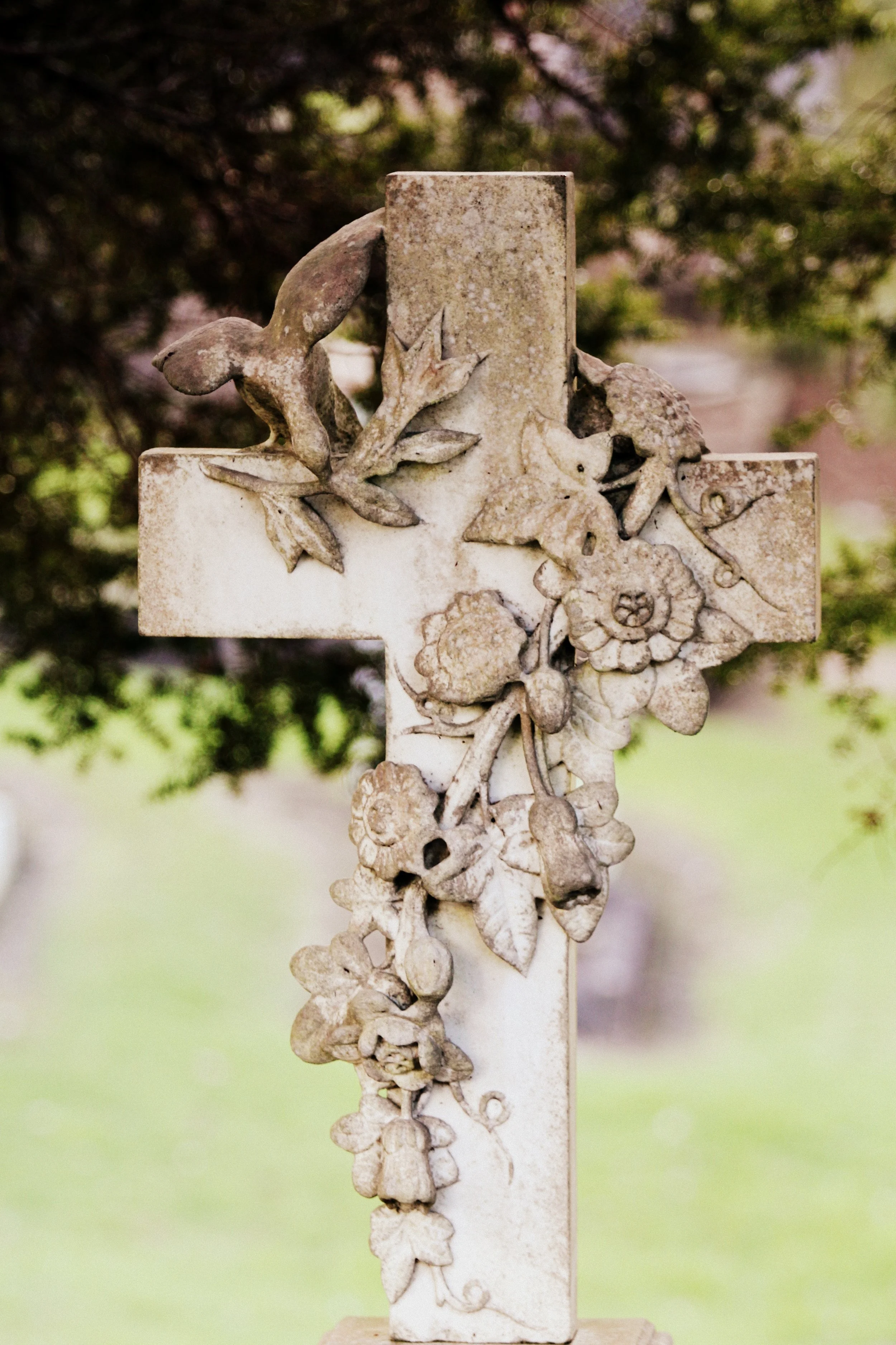 On Grief and Loss