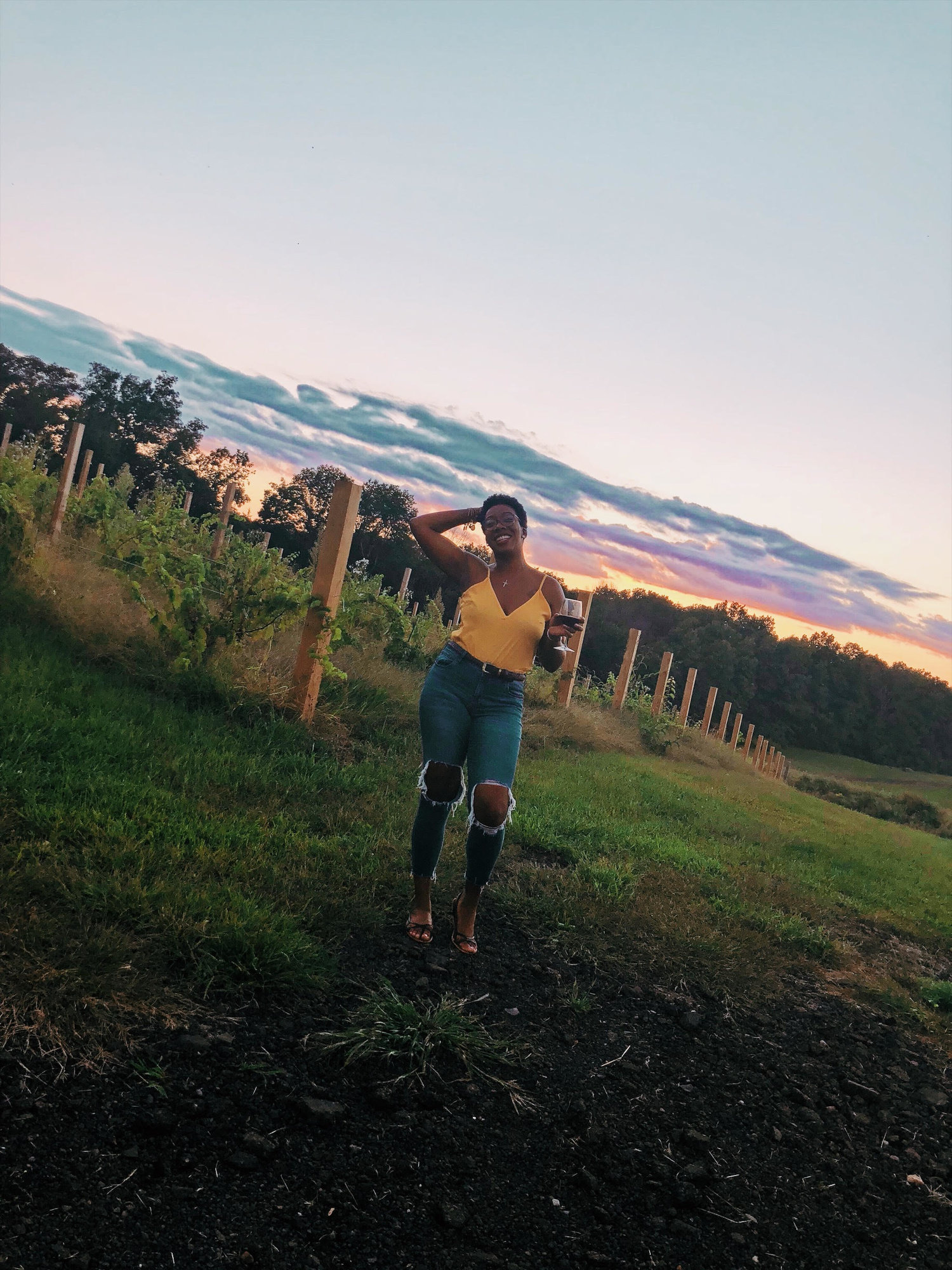 vineyard.jpg