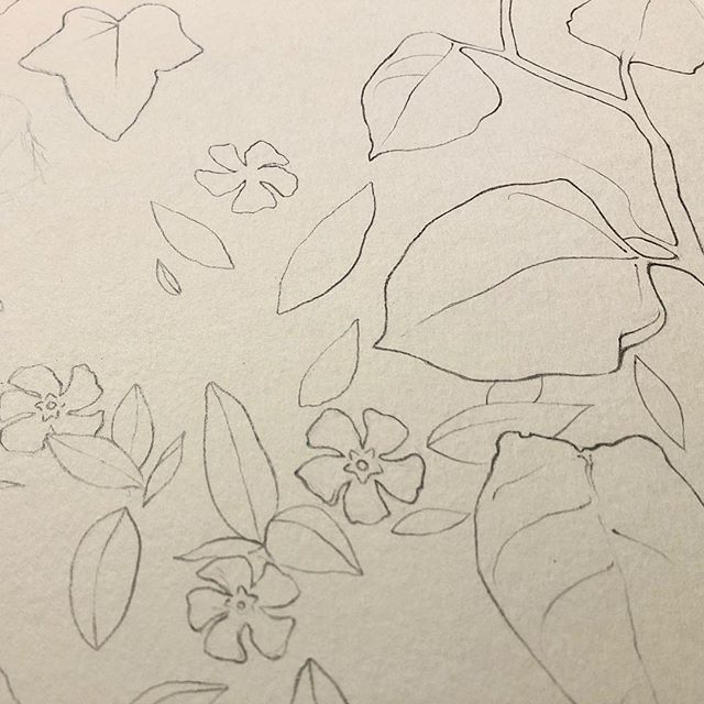 Working on something new for Canzine West. 🤞🌱