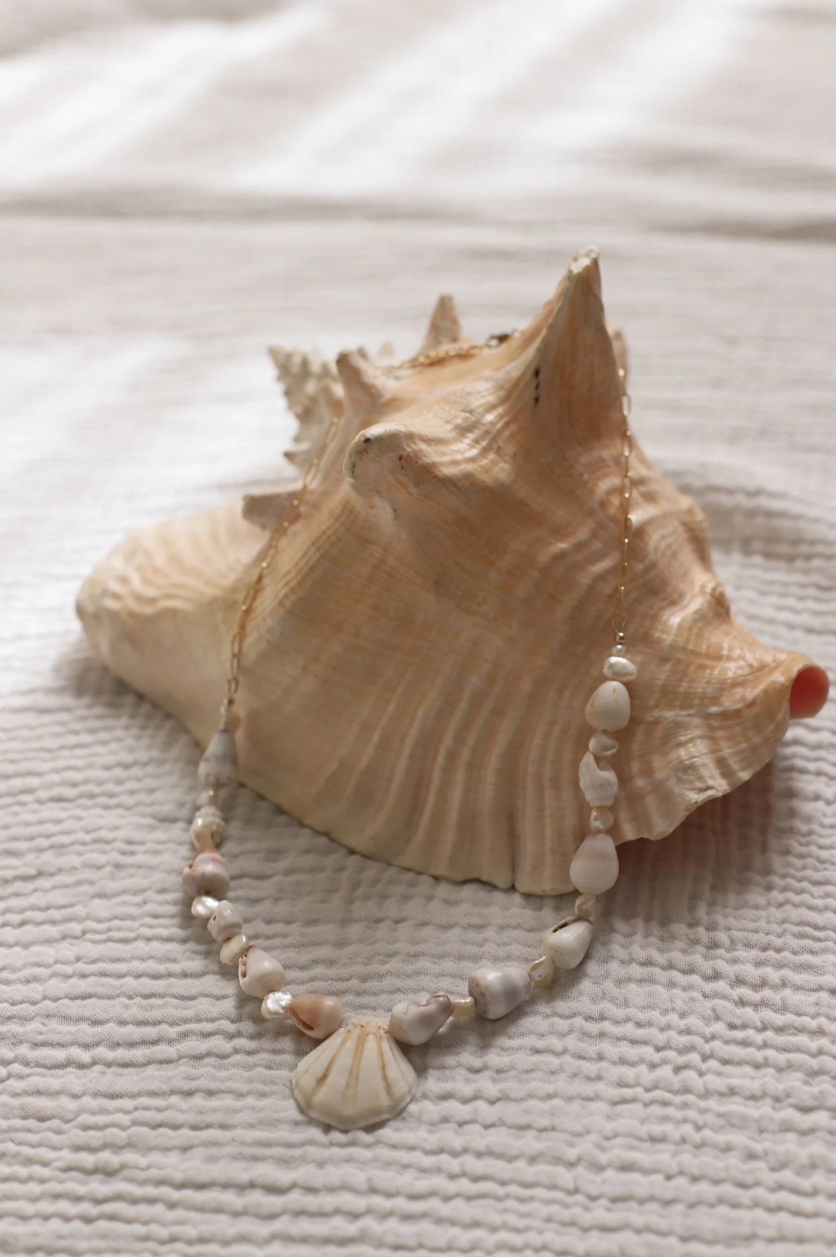 409A3E59-4016-4D06-9C84-2BFEFA28DC92