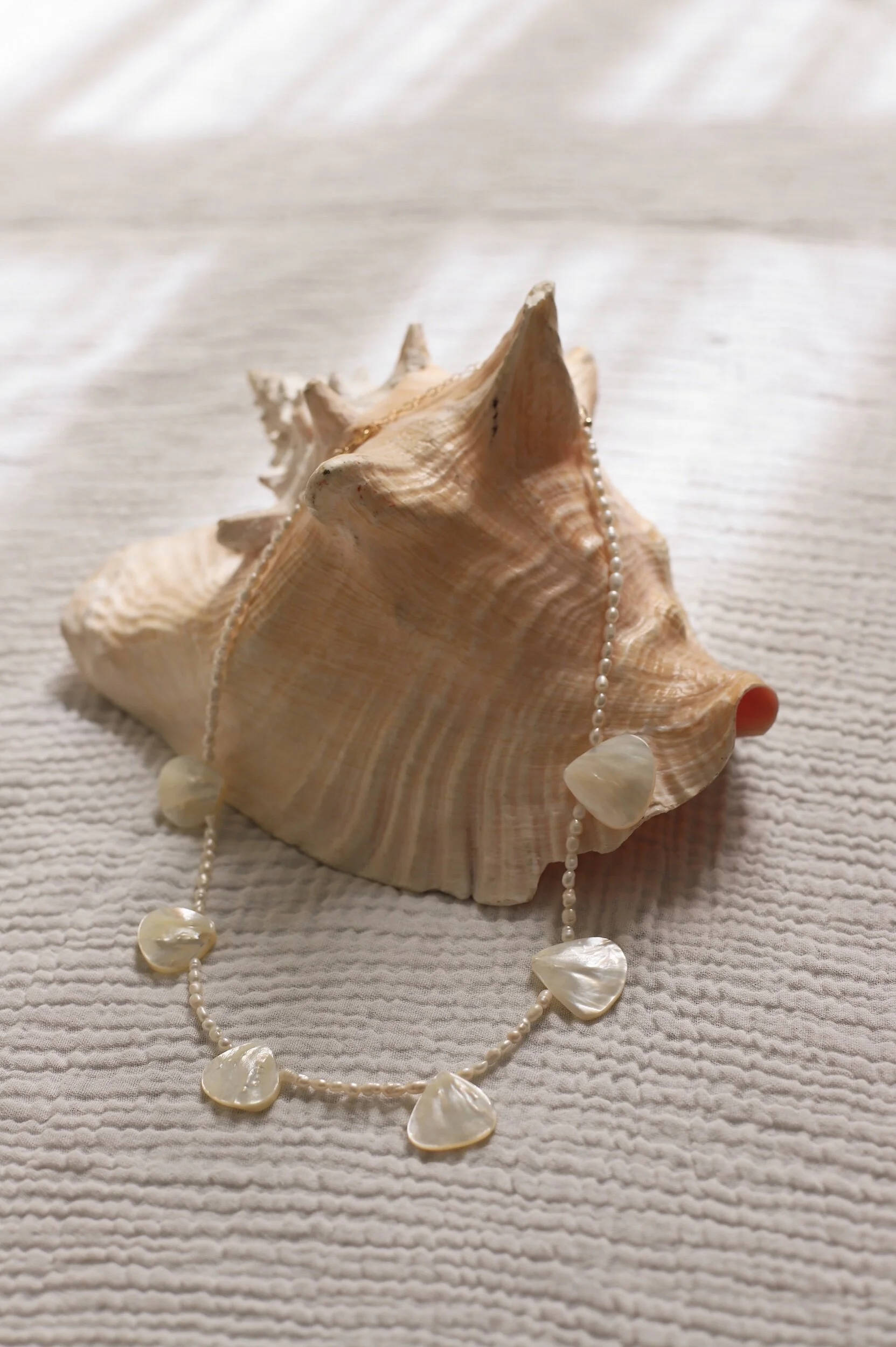 139A194A-9ACF-4CEB-86C2-073F4394F450