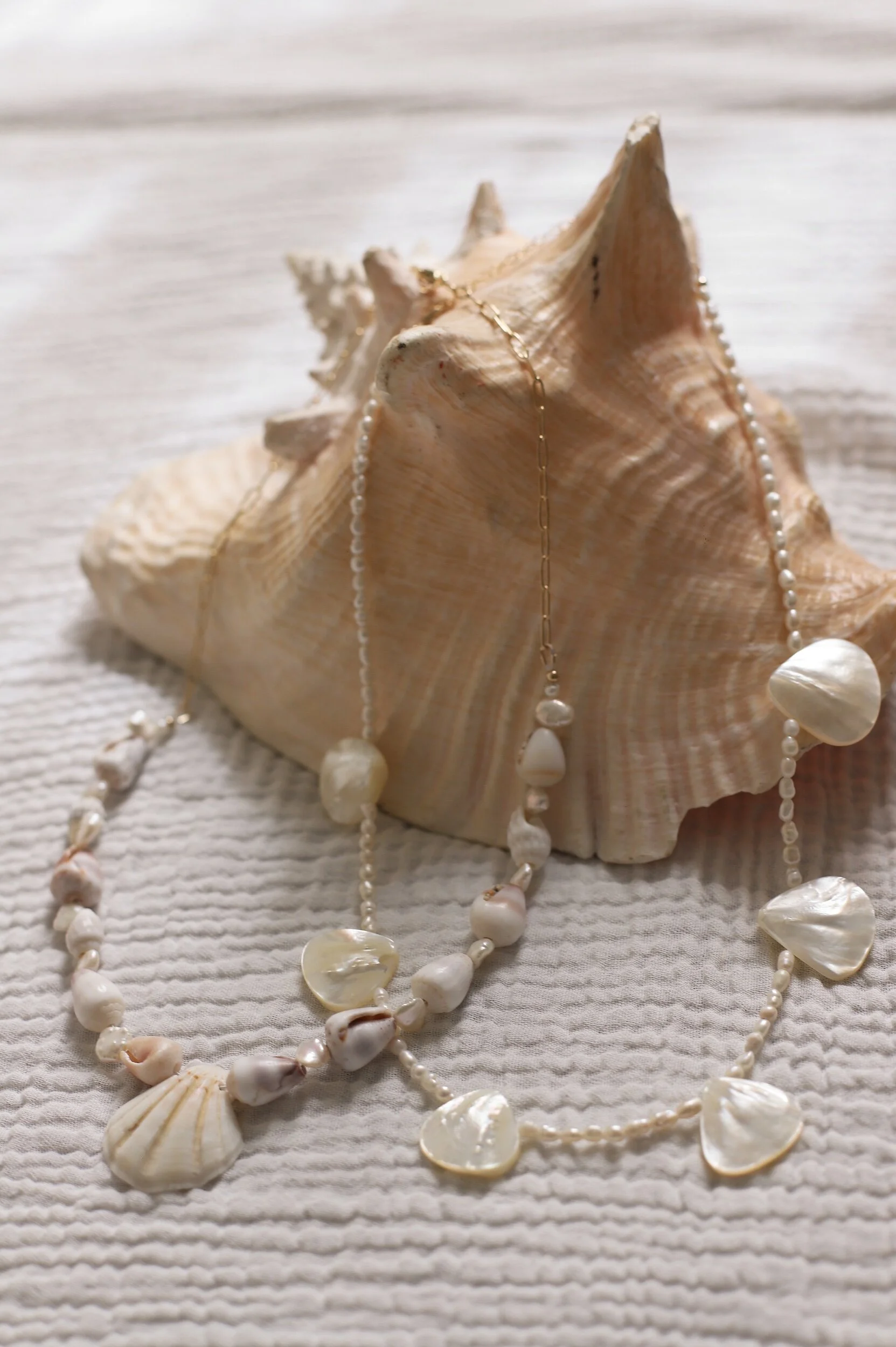 E41AAA0C-6DC9-40DA-B8AB-1DBC6E27F0DF