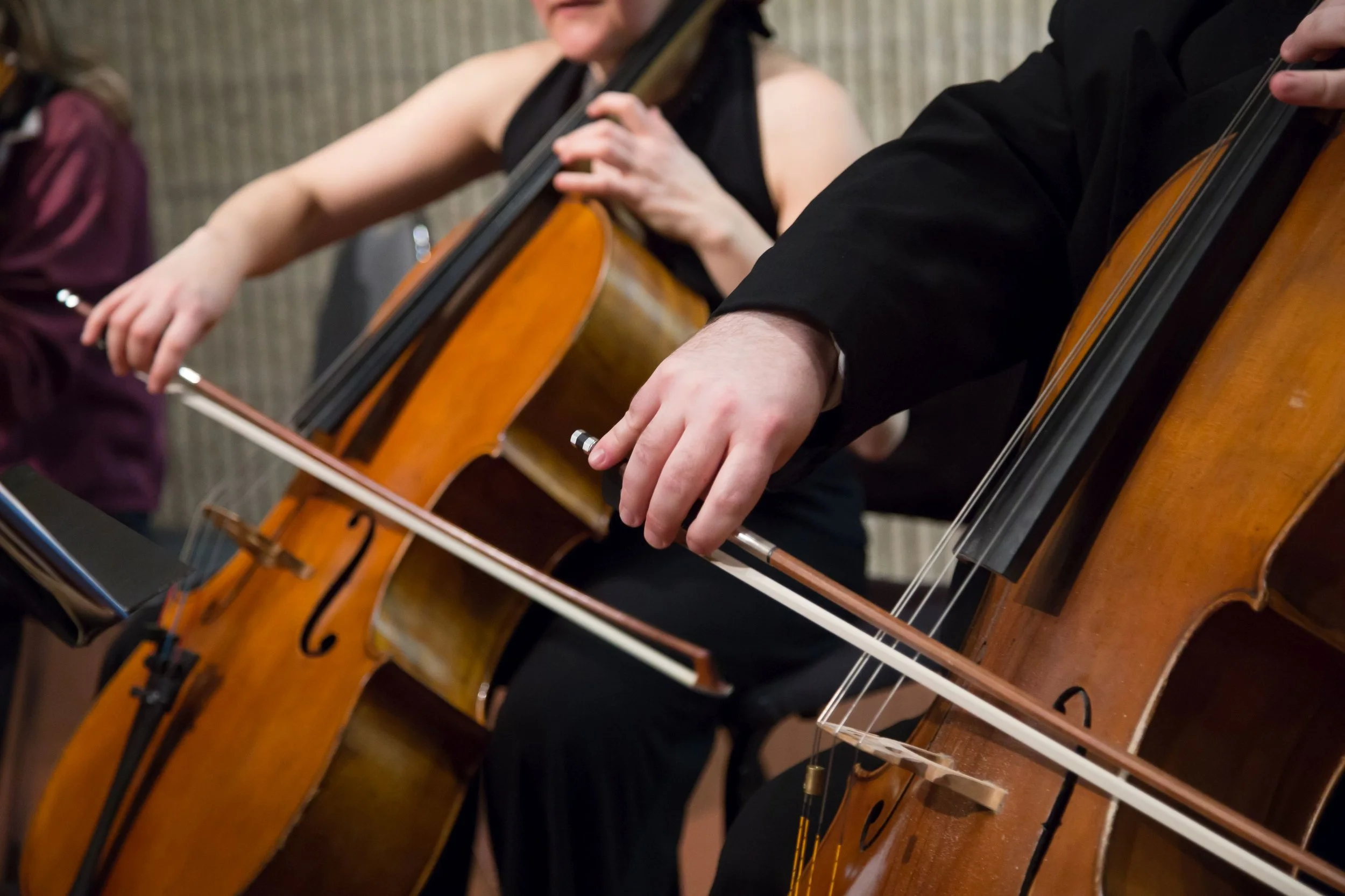 cello close up March 2016.jpg