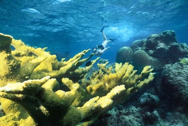 1995: St. Croix, USVI  (Copy)