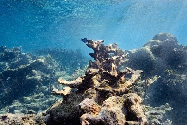 2011: St. Croix, USVI  (Copy)