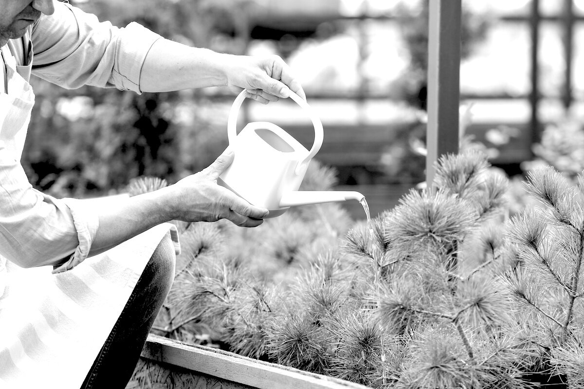 Cultivate a Healthy Indifference