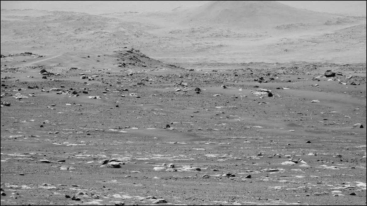 The Perseverance Rover and Names