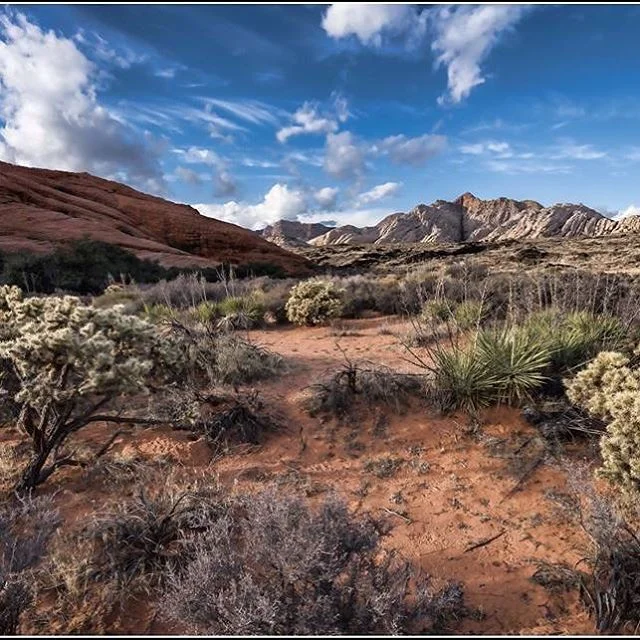 A beautiful metal photograph of Snow Canyon by photographer Charles Hoekman