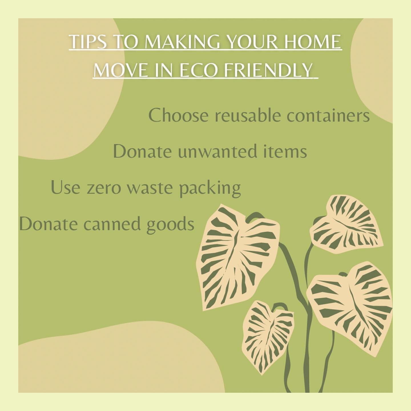 First time home buyer? Here are some ways you can keep the environment in mind for your move in date! 

#minnitisinsurance #sustainabilitymatters #sustainability #sustainable #sustainabilitytips #homesustainability #minnitigroup #newjerseyrealestate 