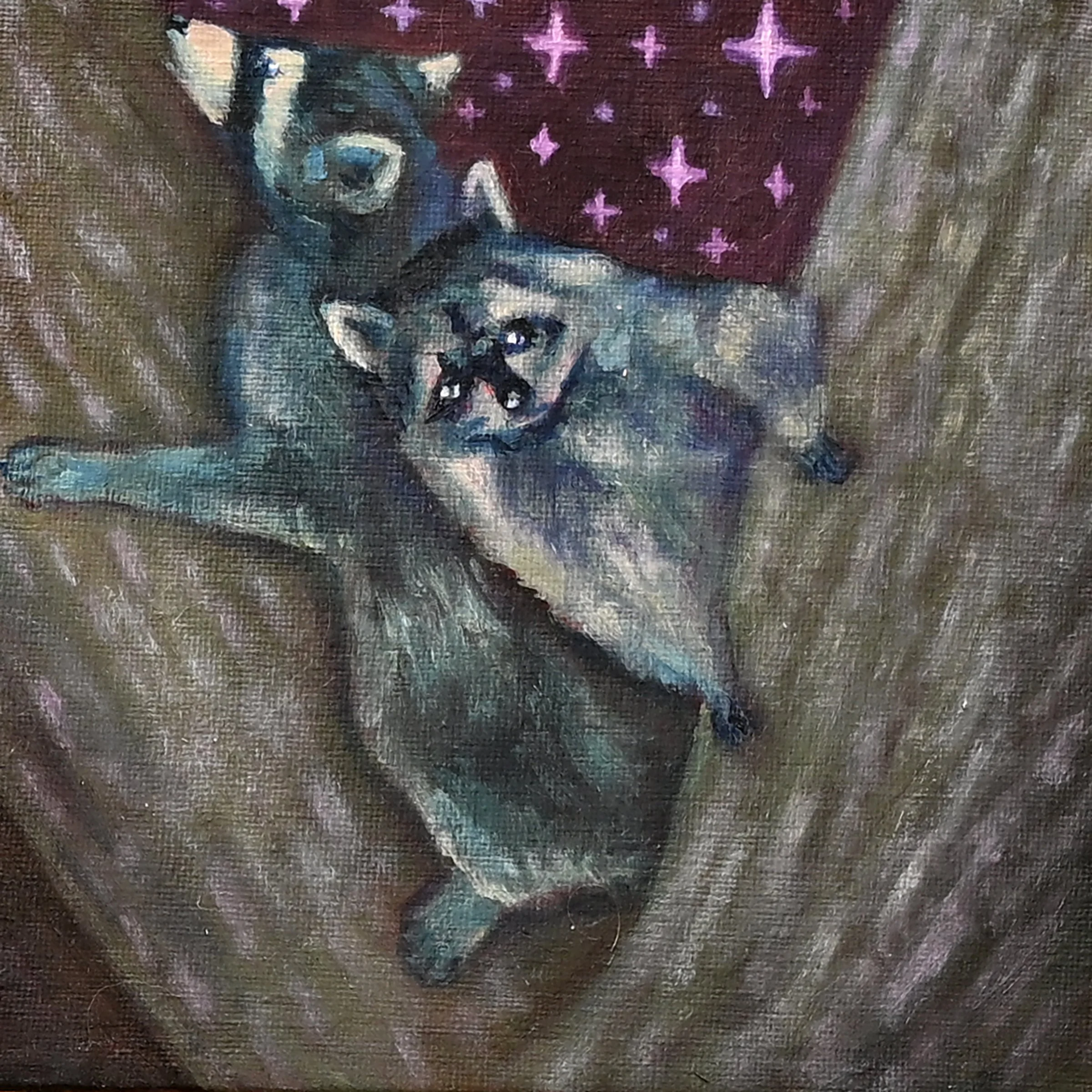 Raccons8x8.jpeg