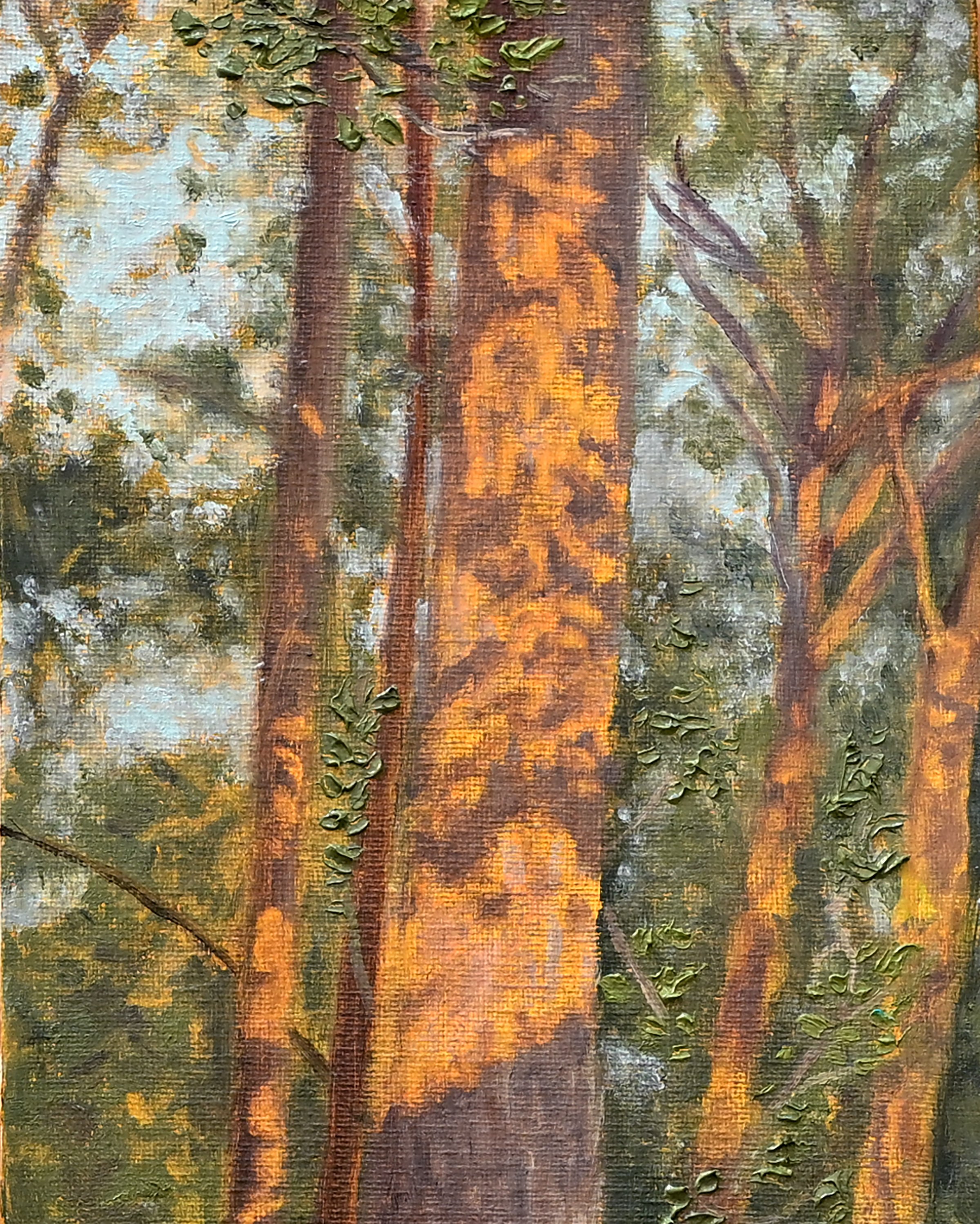 Trees8x10.jpeg