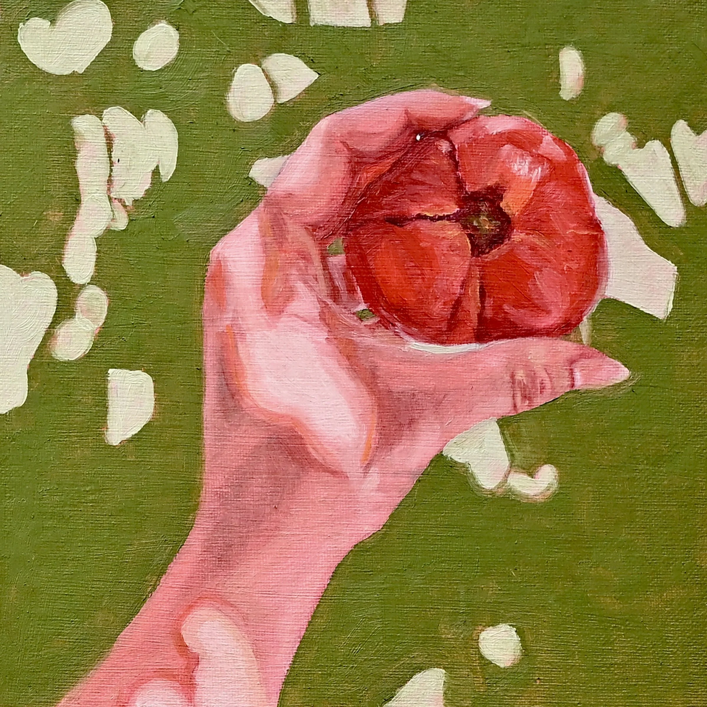 Pomegrante8x8.jpeg