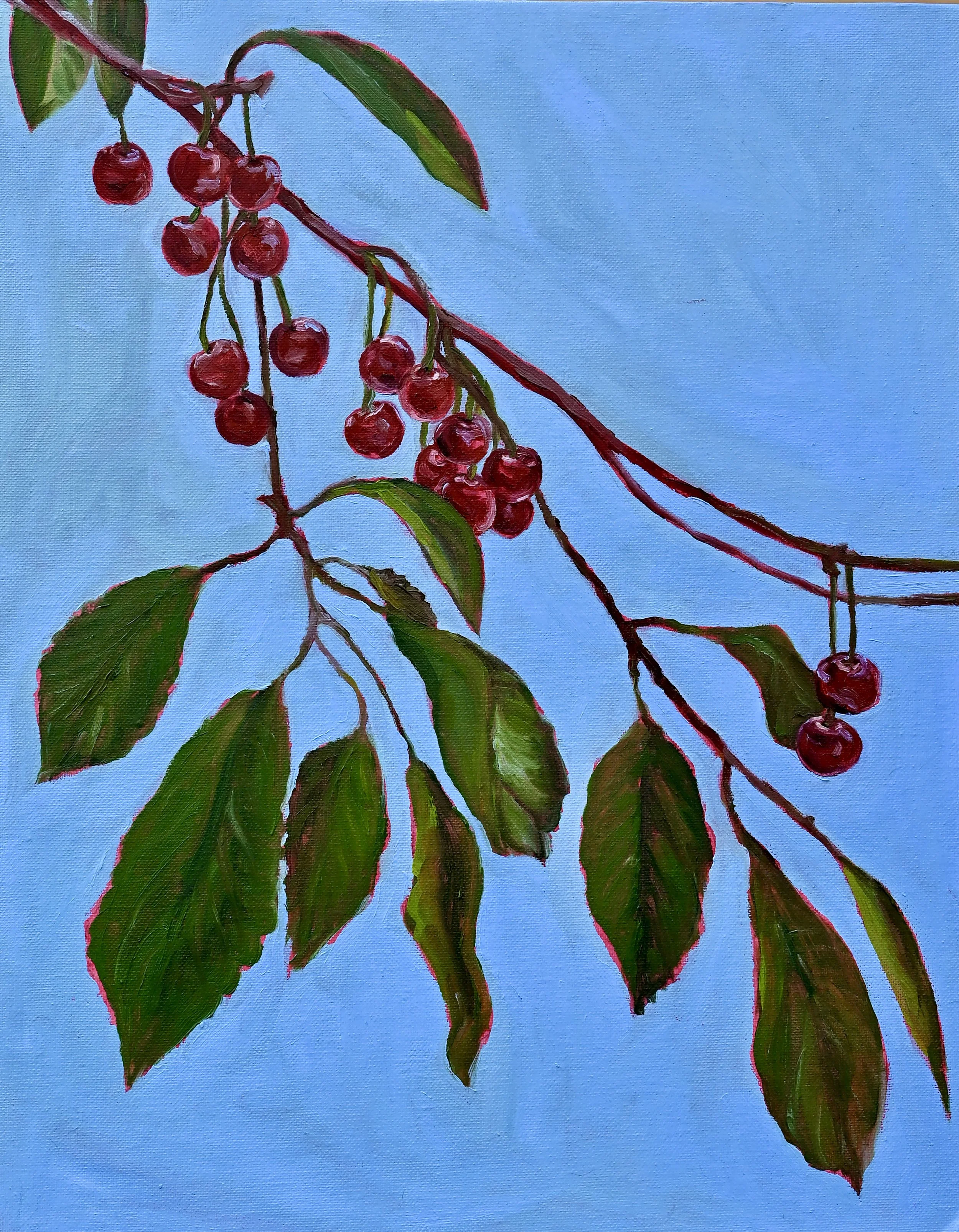 Cherries14x18 2.jpeg