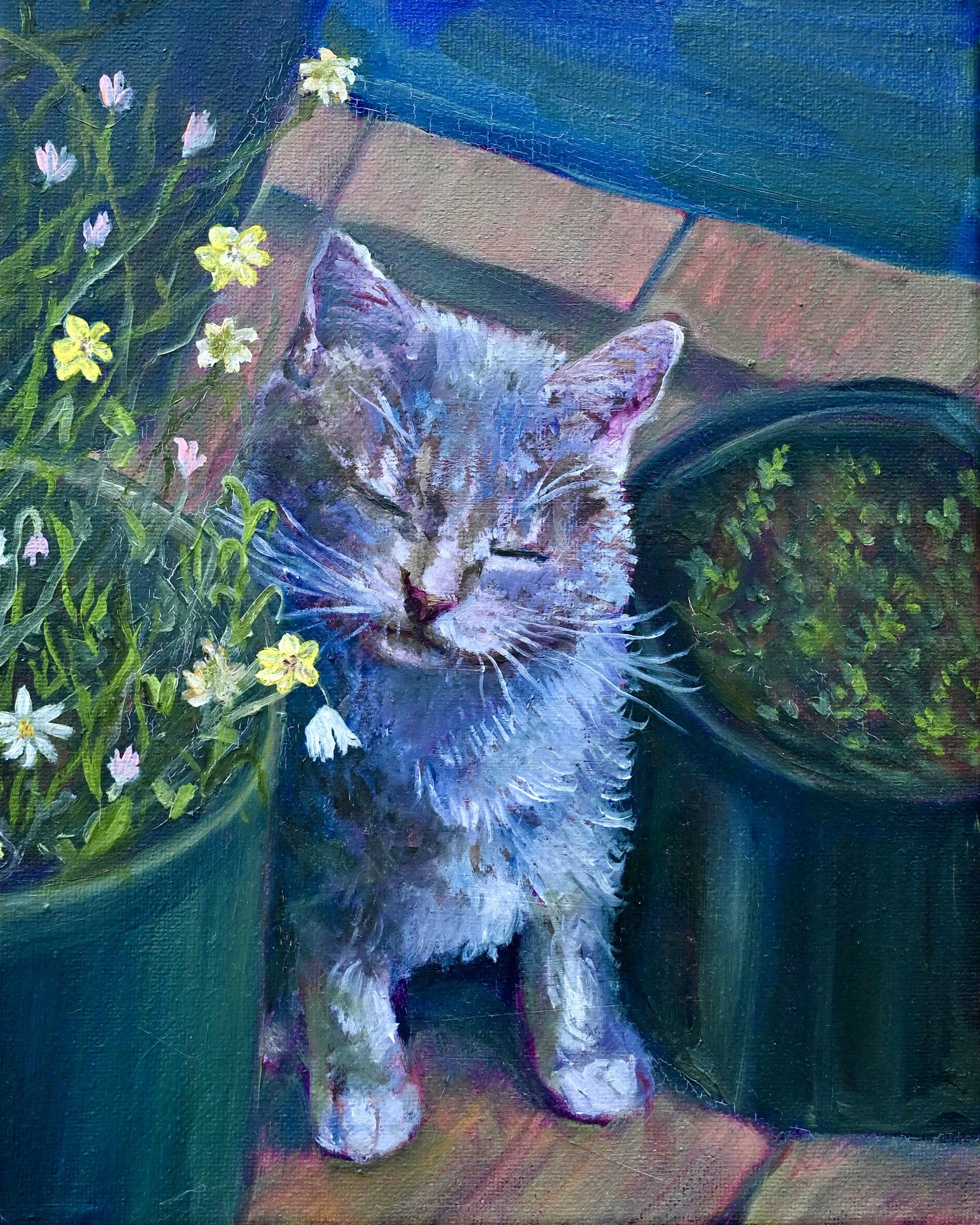 Cat8x10.jpeg