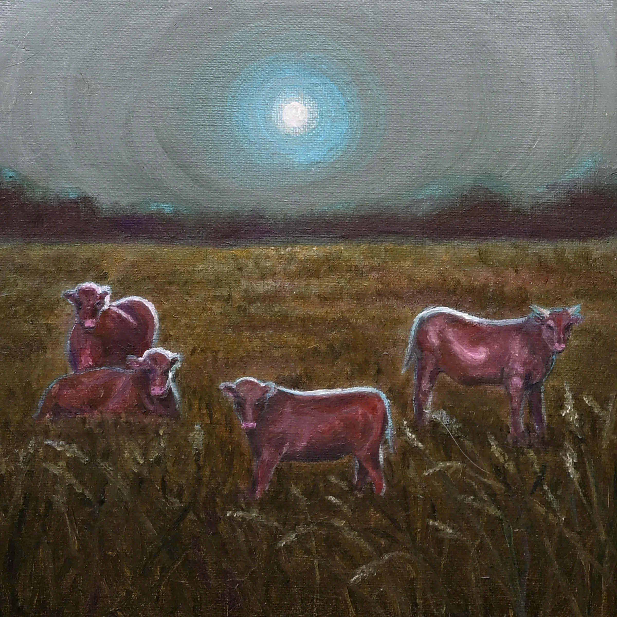Cows8x8.jpeg