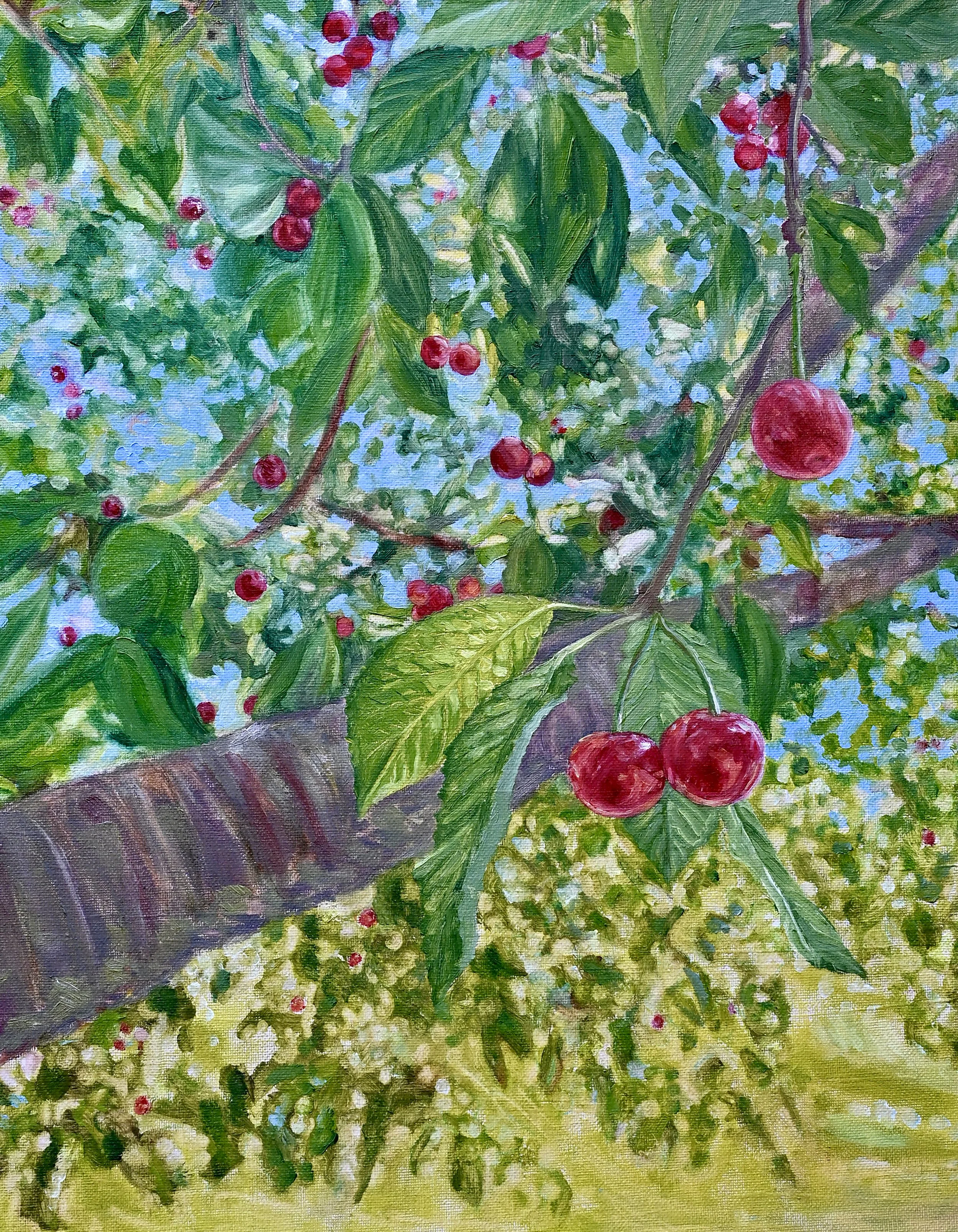 Cherries14x18 1.jpeg