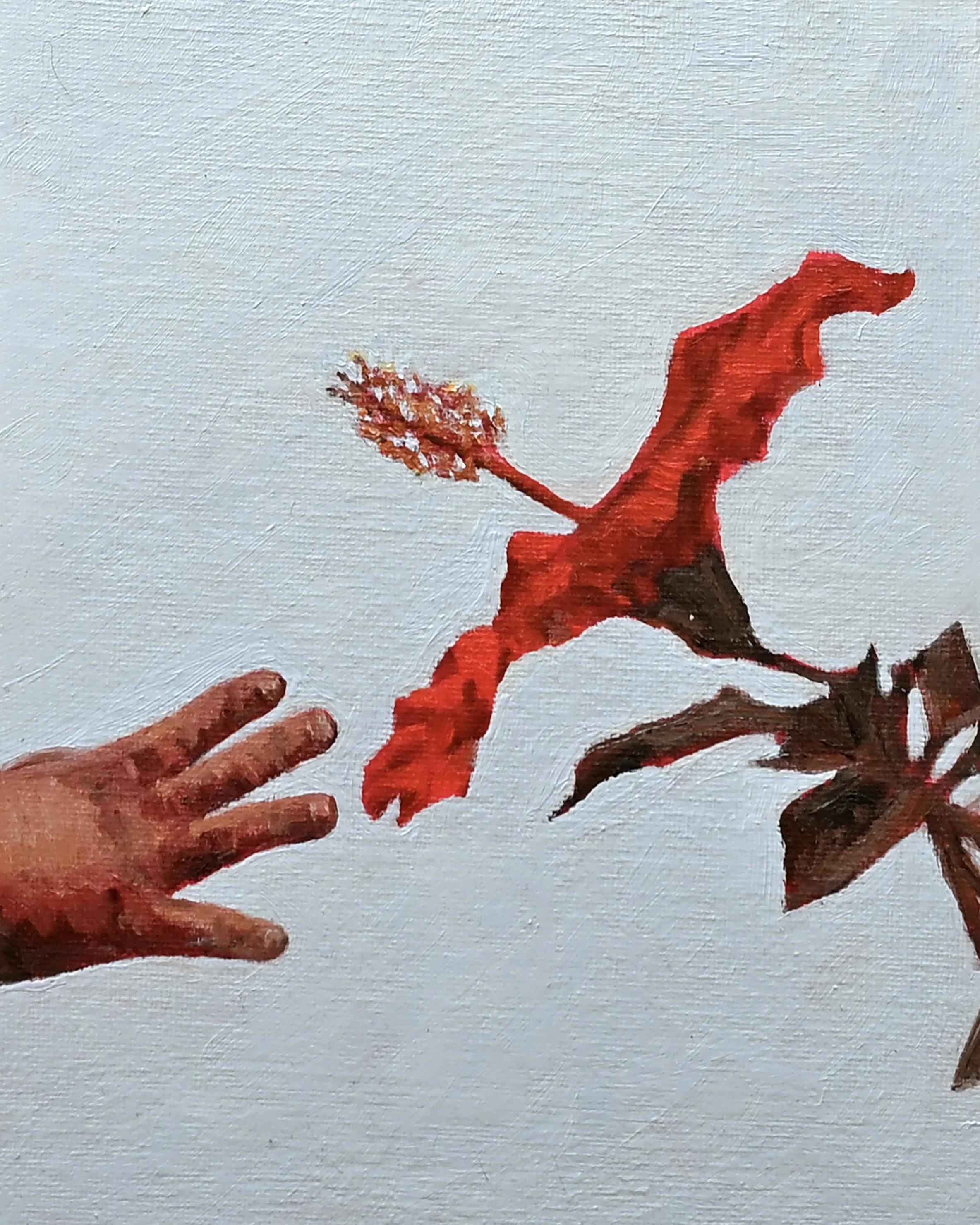 BabyHandAndFlower8x10.jpeg