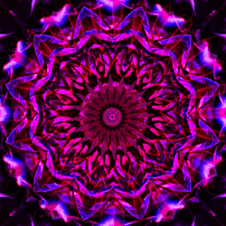 MAYA.gif