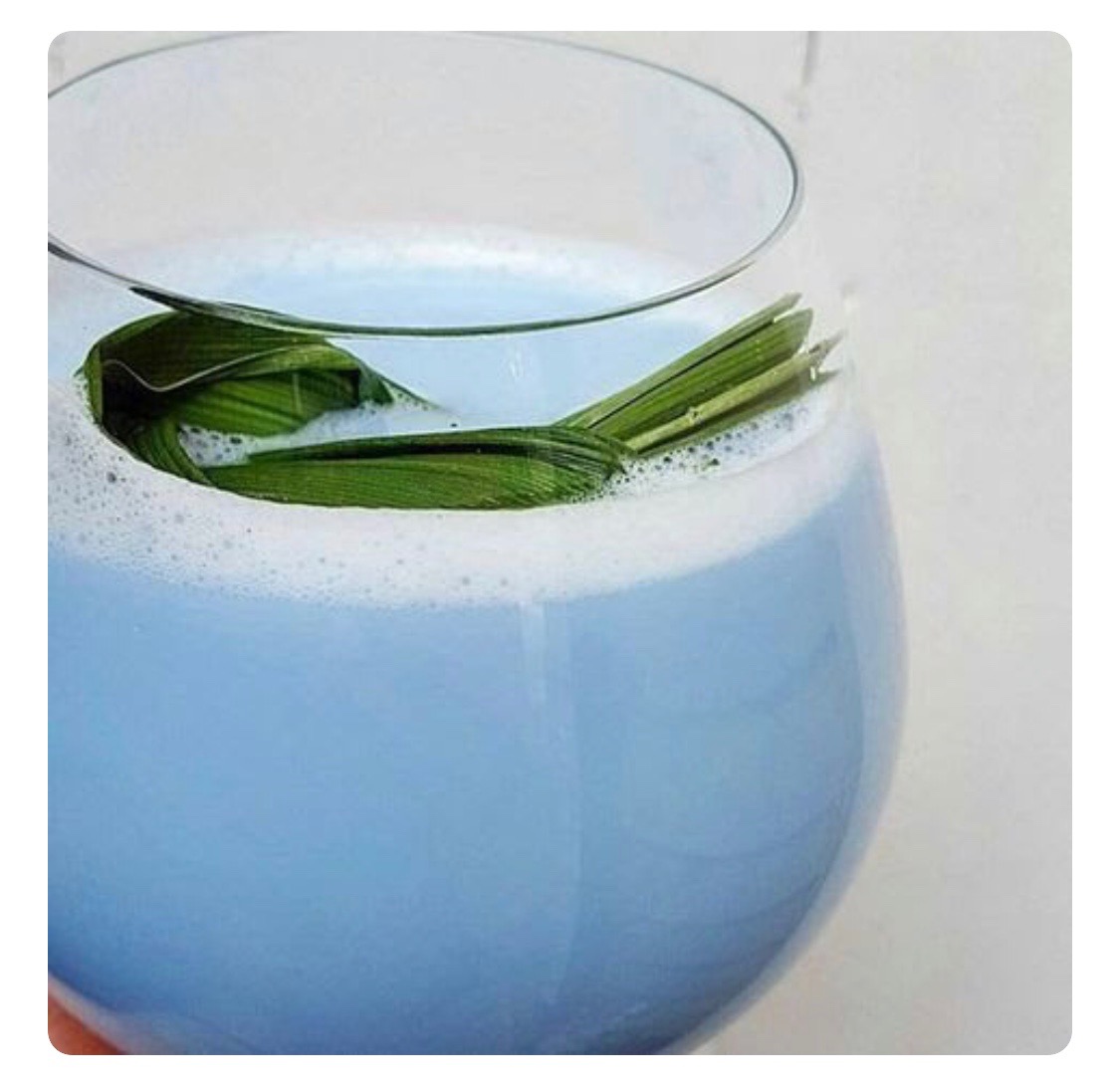 Butterfly-Pea-Flower-Tea-Benefits.jpeg