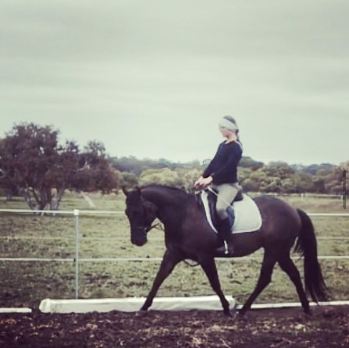 Are Your Horses Feet In Good Hands?