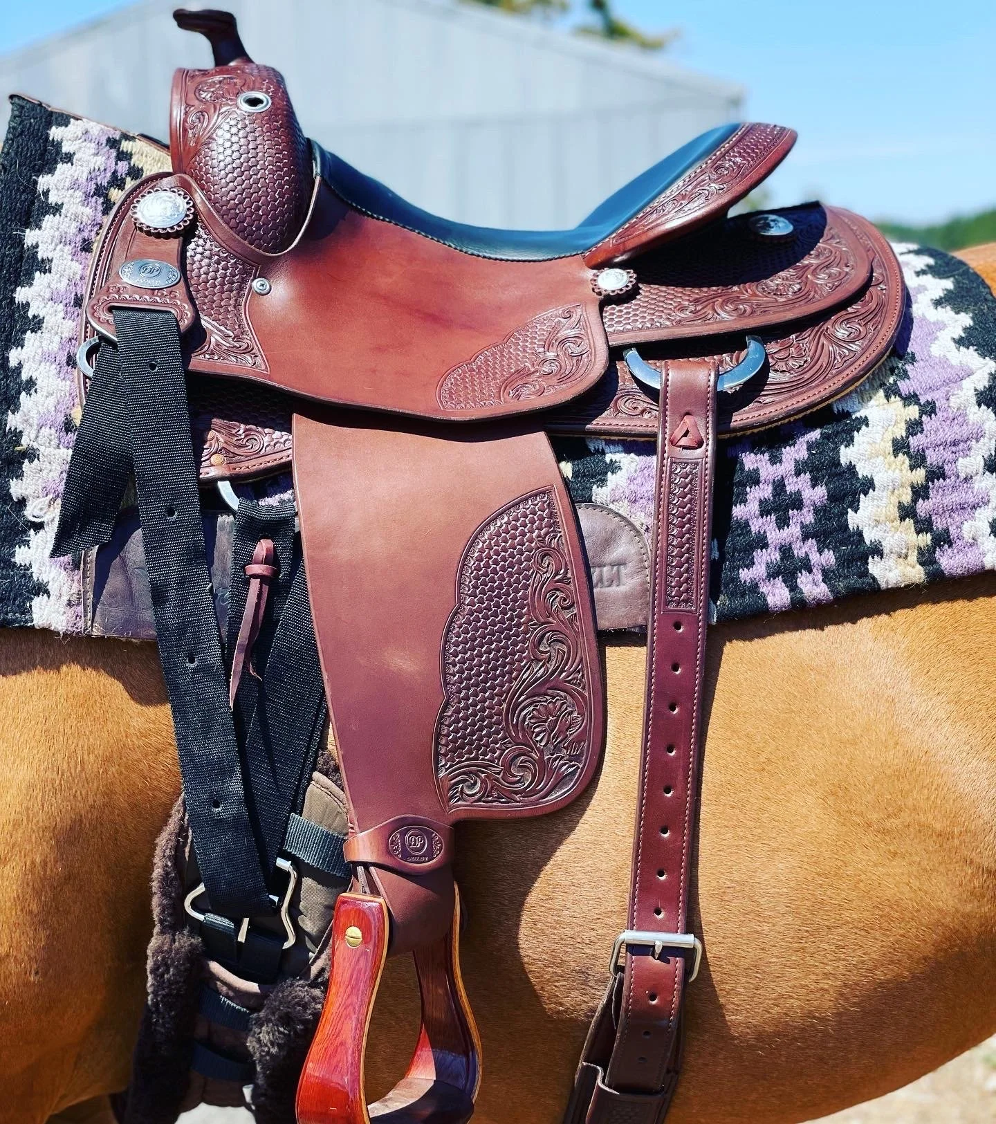 DP Flex Fit All Rounder