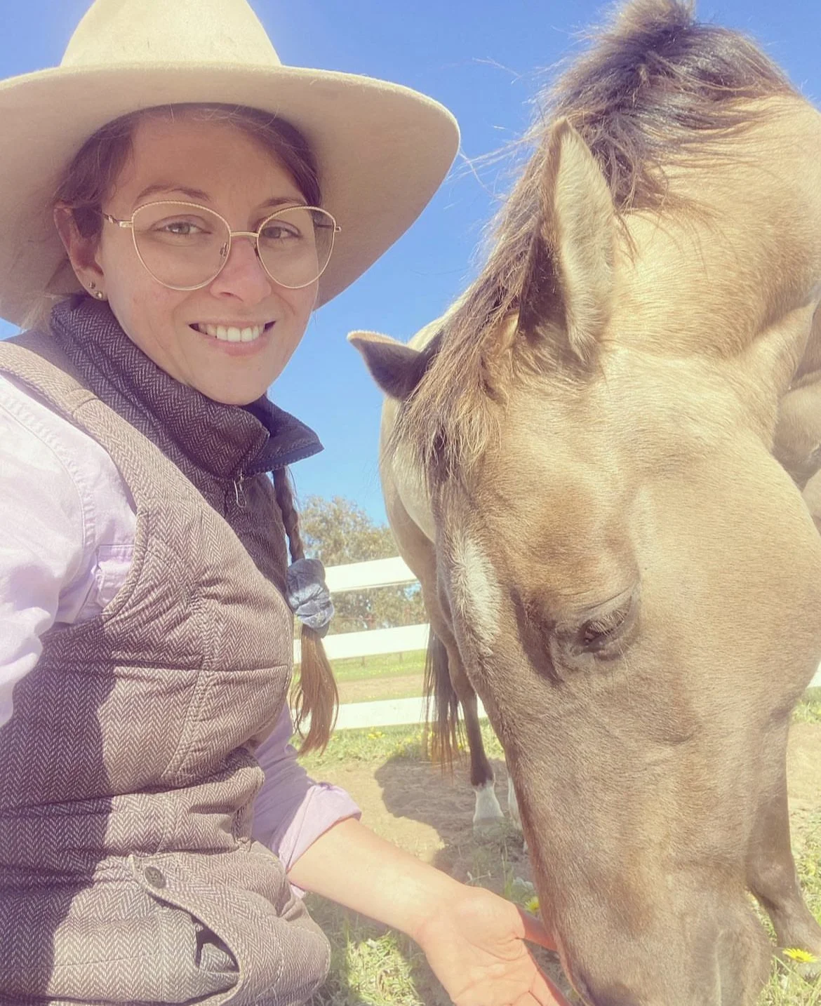 Does Your Horse Want To Work With You?