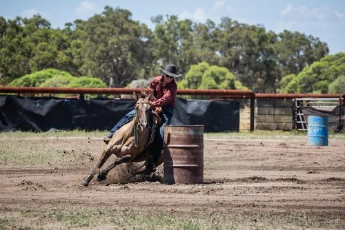 The Shitty Cowboy Song