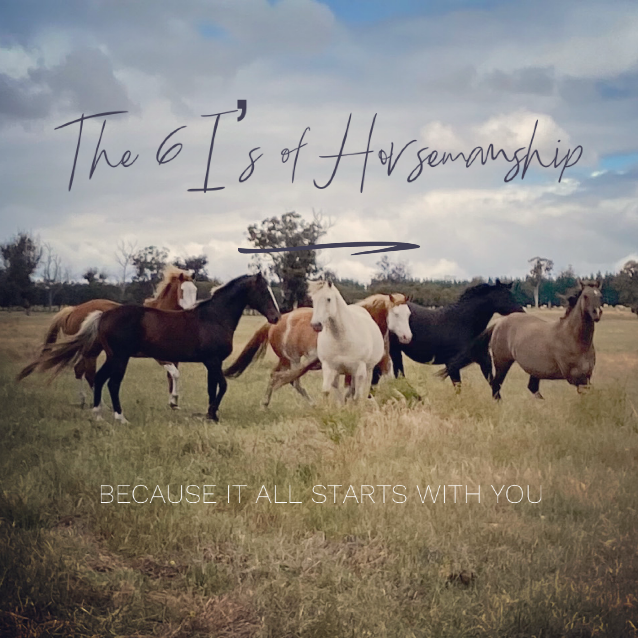 Introducing The 6 I's of Horsemanship - because it all starts with you