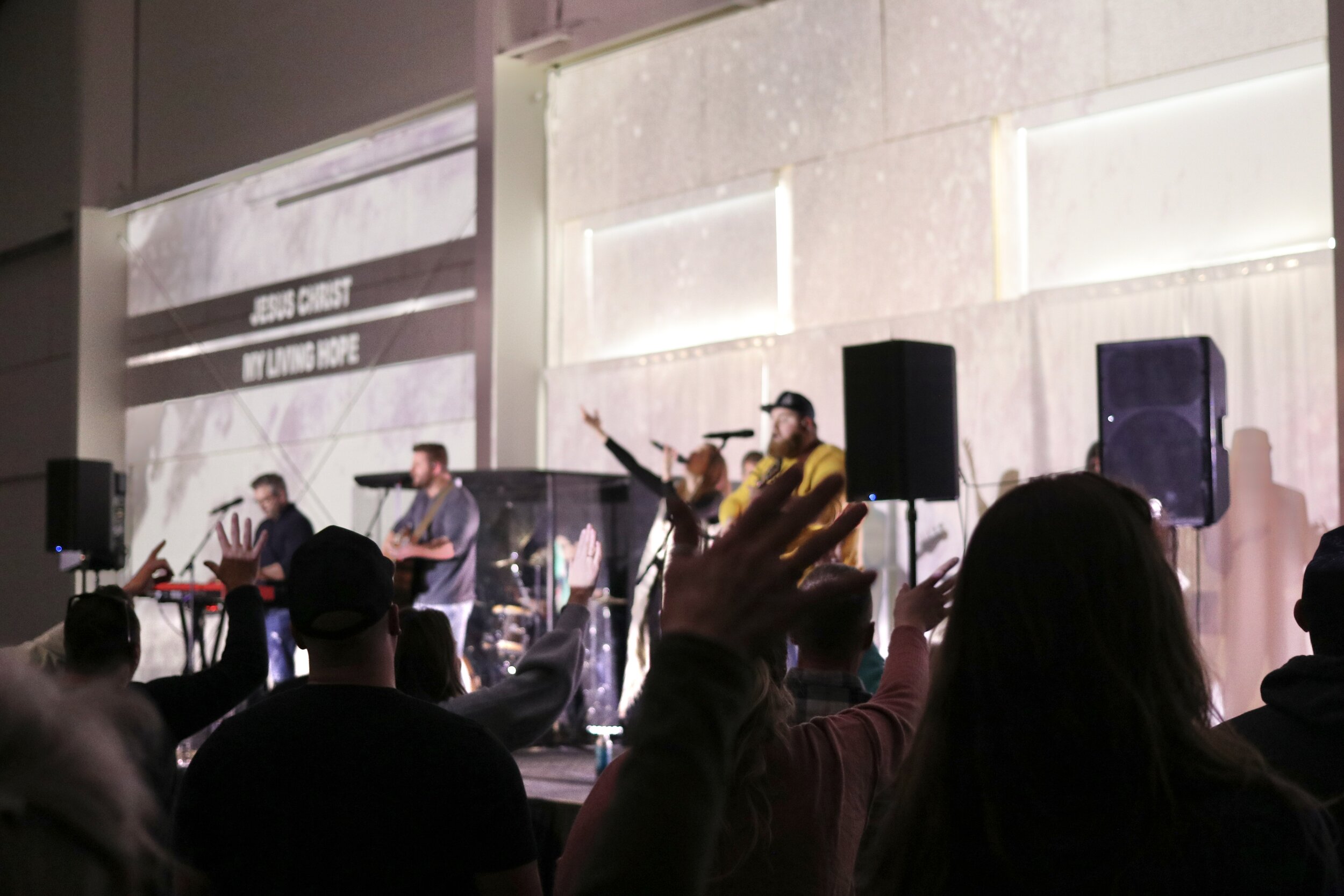 IMG_9947.jpg
