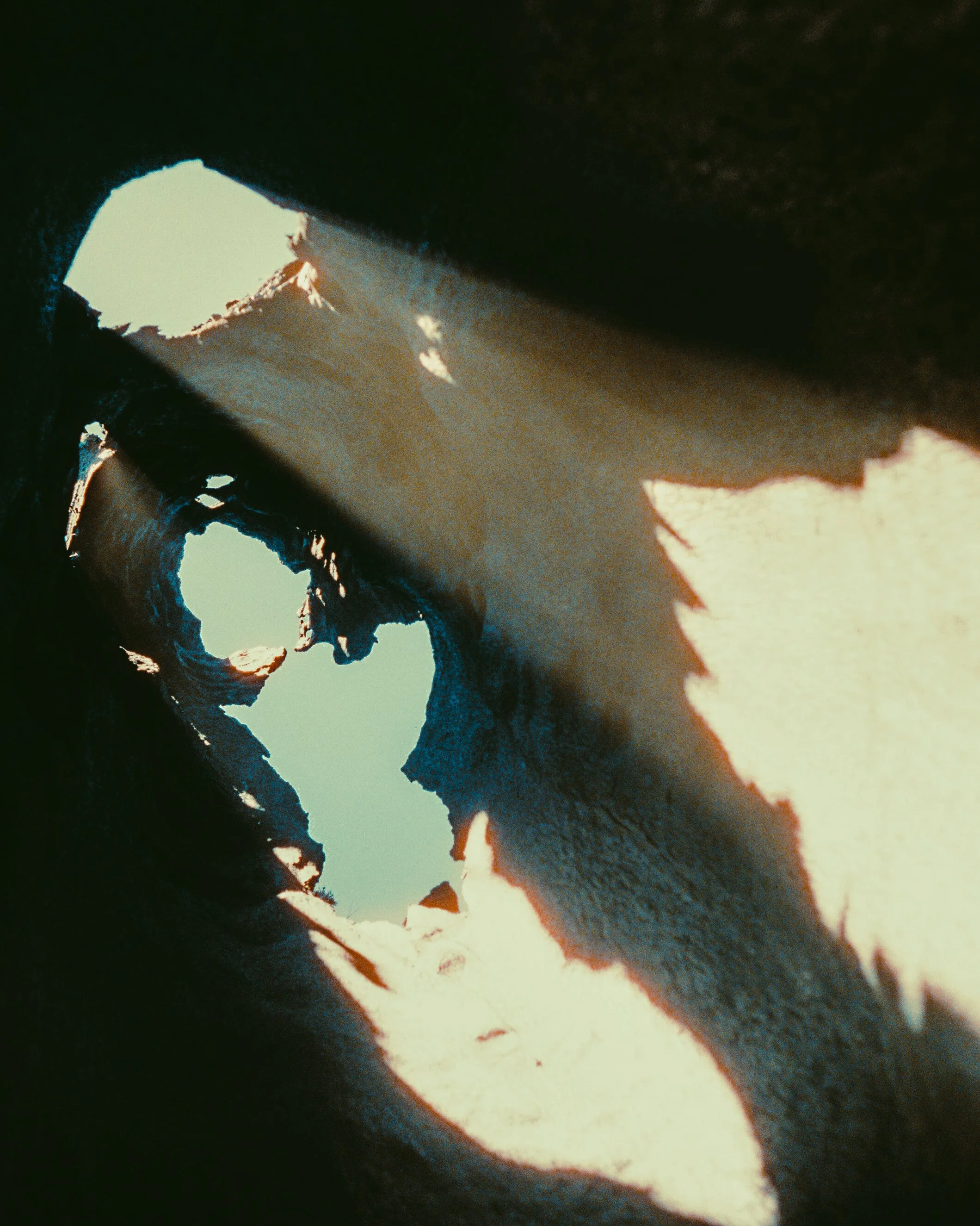 film_shots.jpg