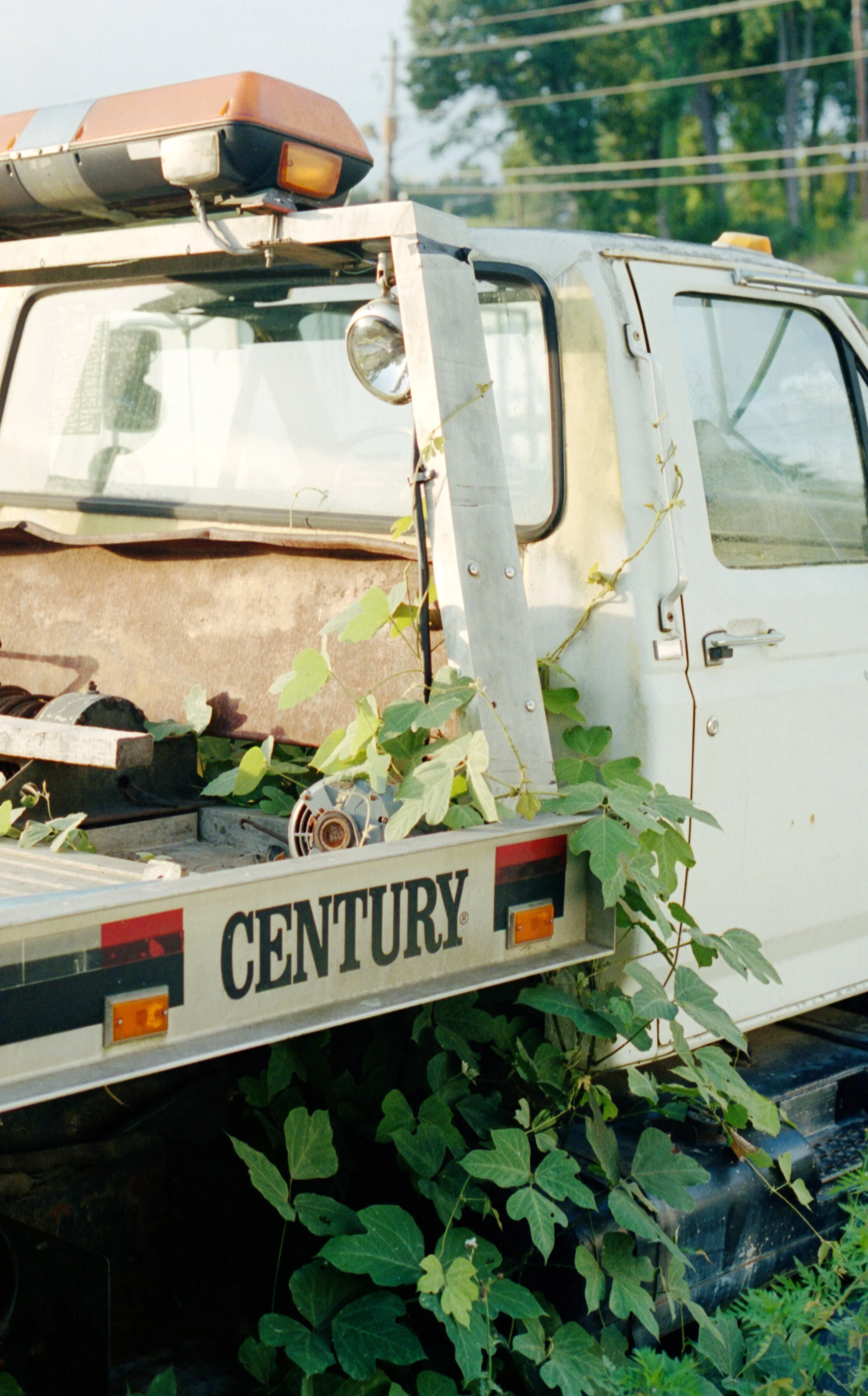 film_shots-4.jpg