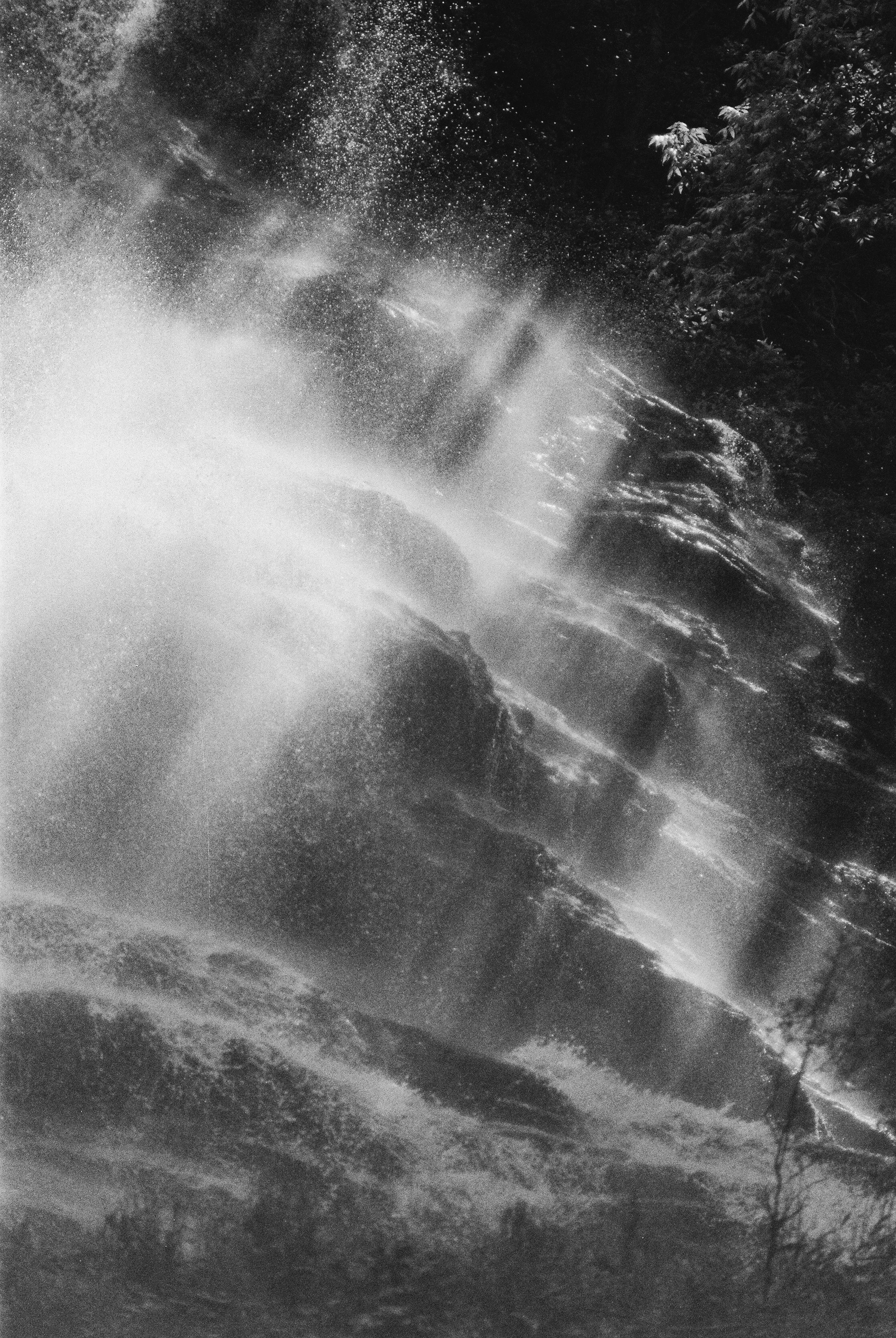 PANCRO-004.jpg