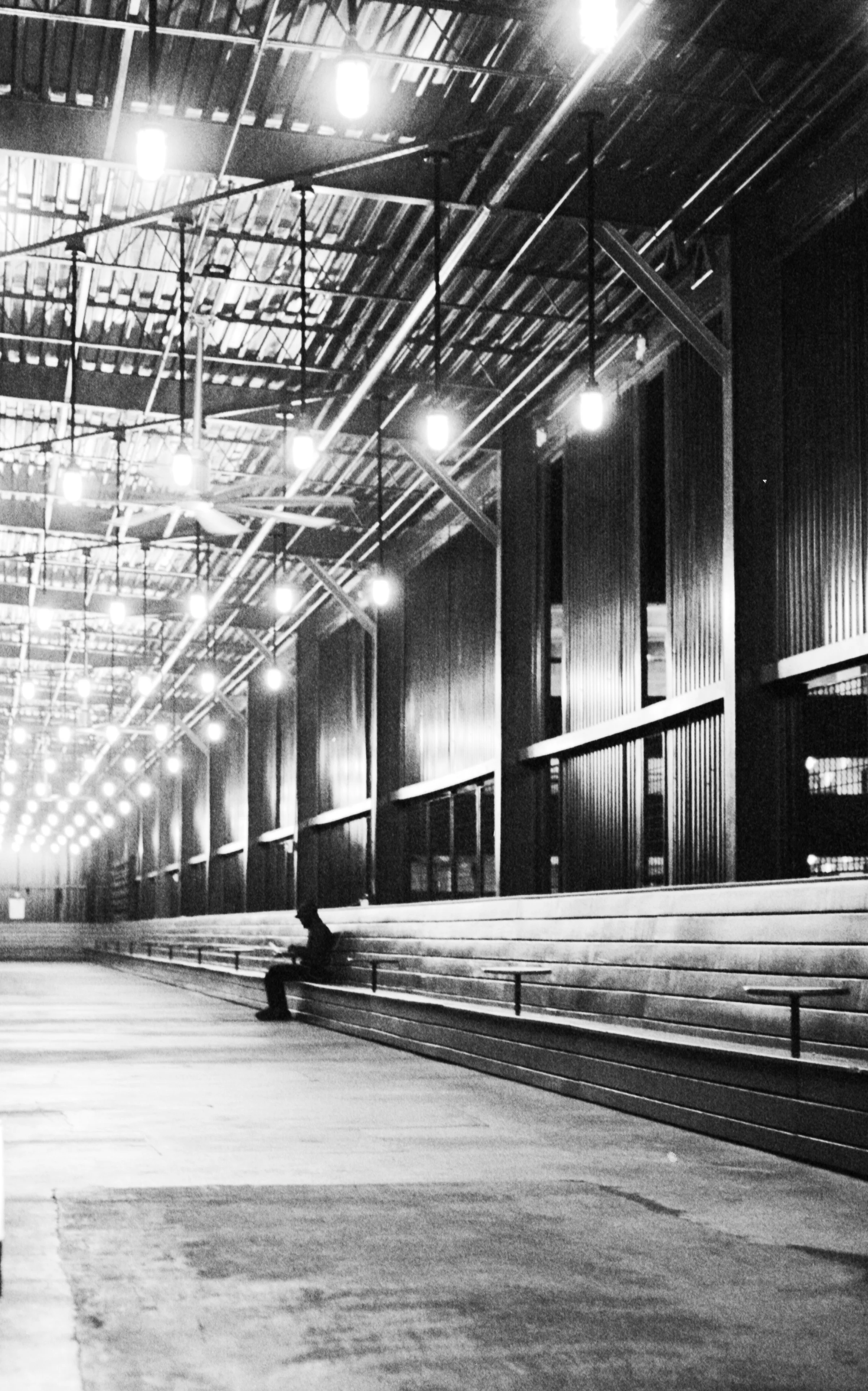 film_shots-3.jpg