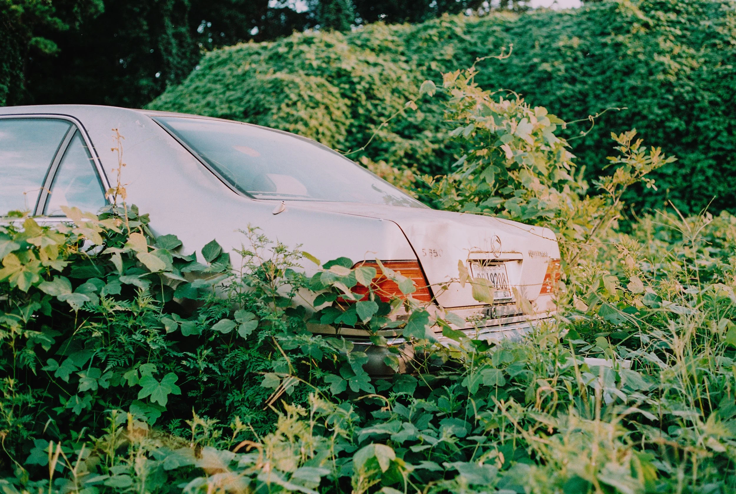 film_shots-2.jpg