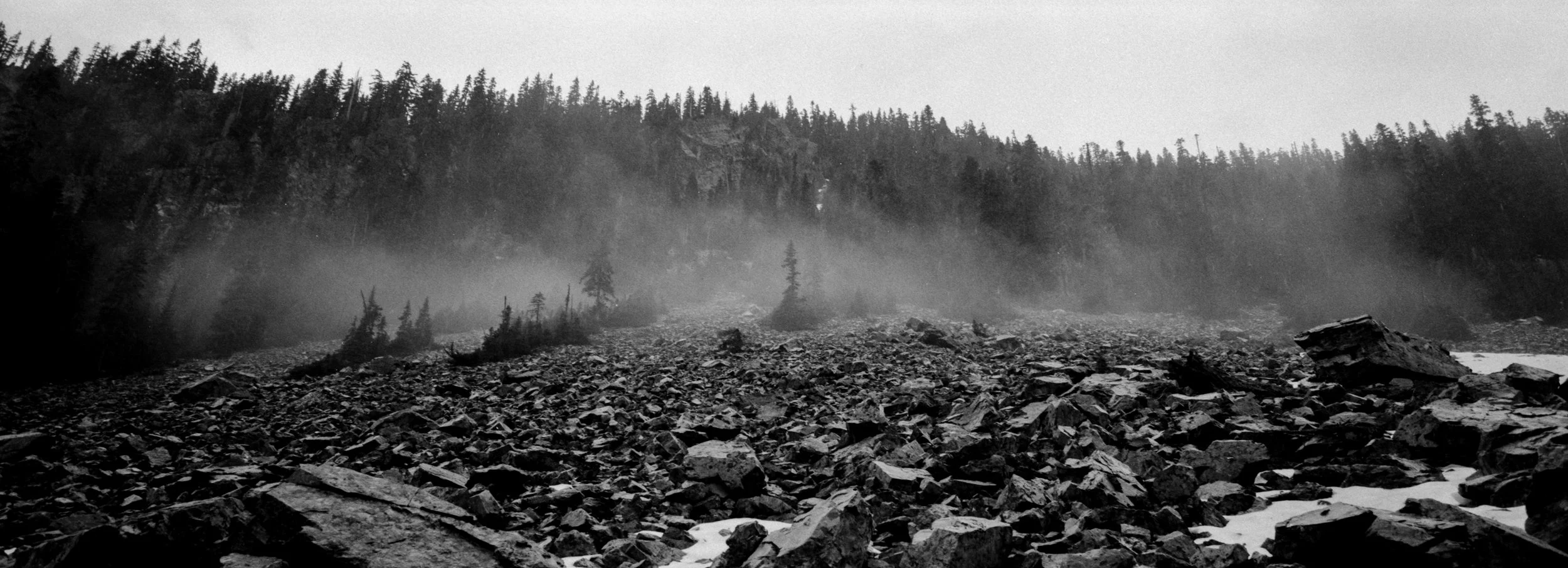 JUNE_TRI-X_2021-1019.jpg