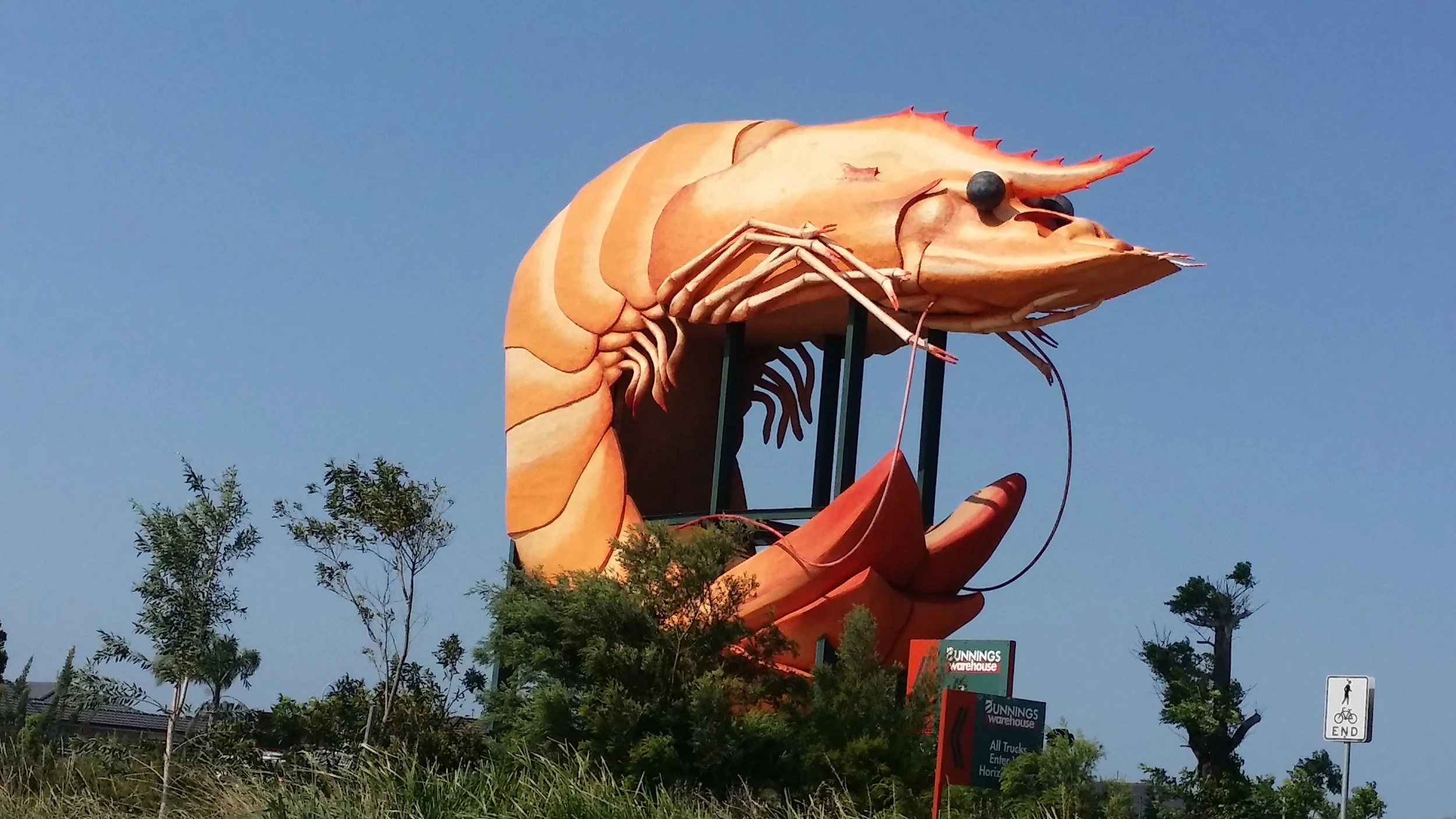 prawn.jpg
