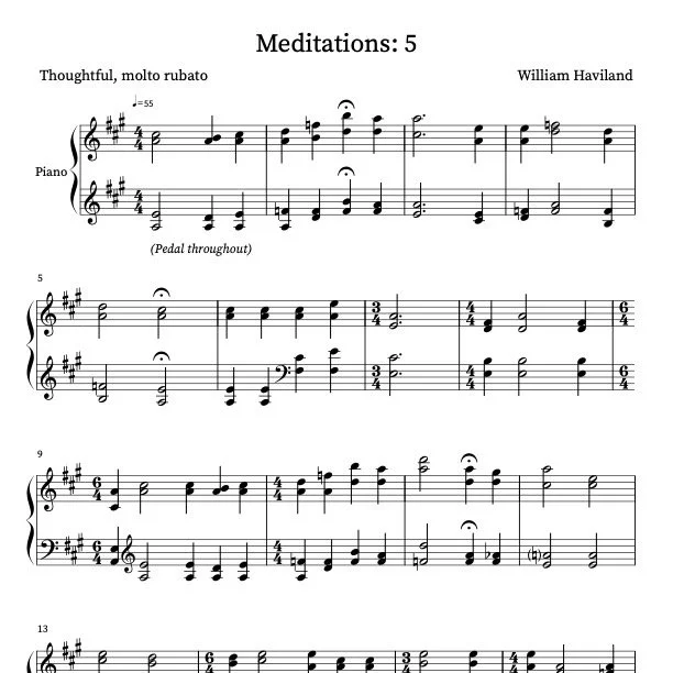 Meditations 5 pic.jpeg