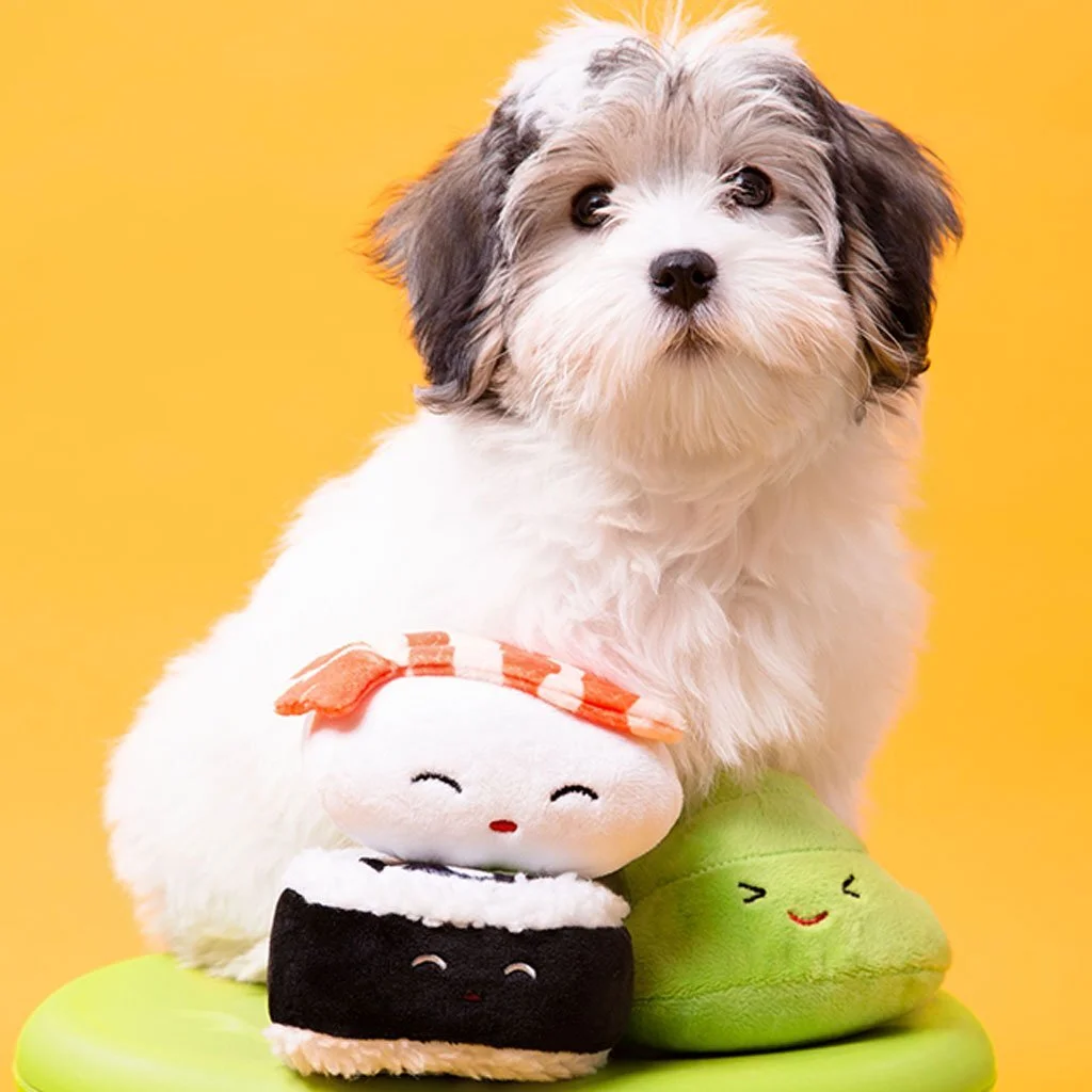 51034_sushi_bento_box_dog_toy_set_1_eb9f9433-e9f3-470e-9ae0-4842daa5f28e_1024x1024.jpg
