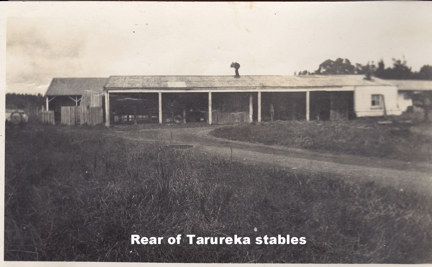 back of stables small.jpg