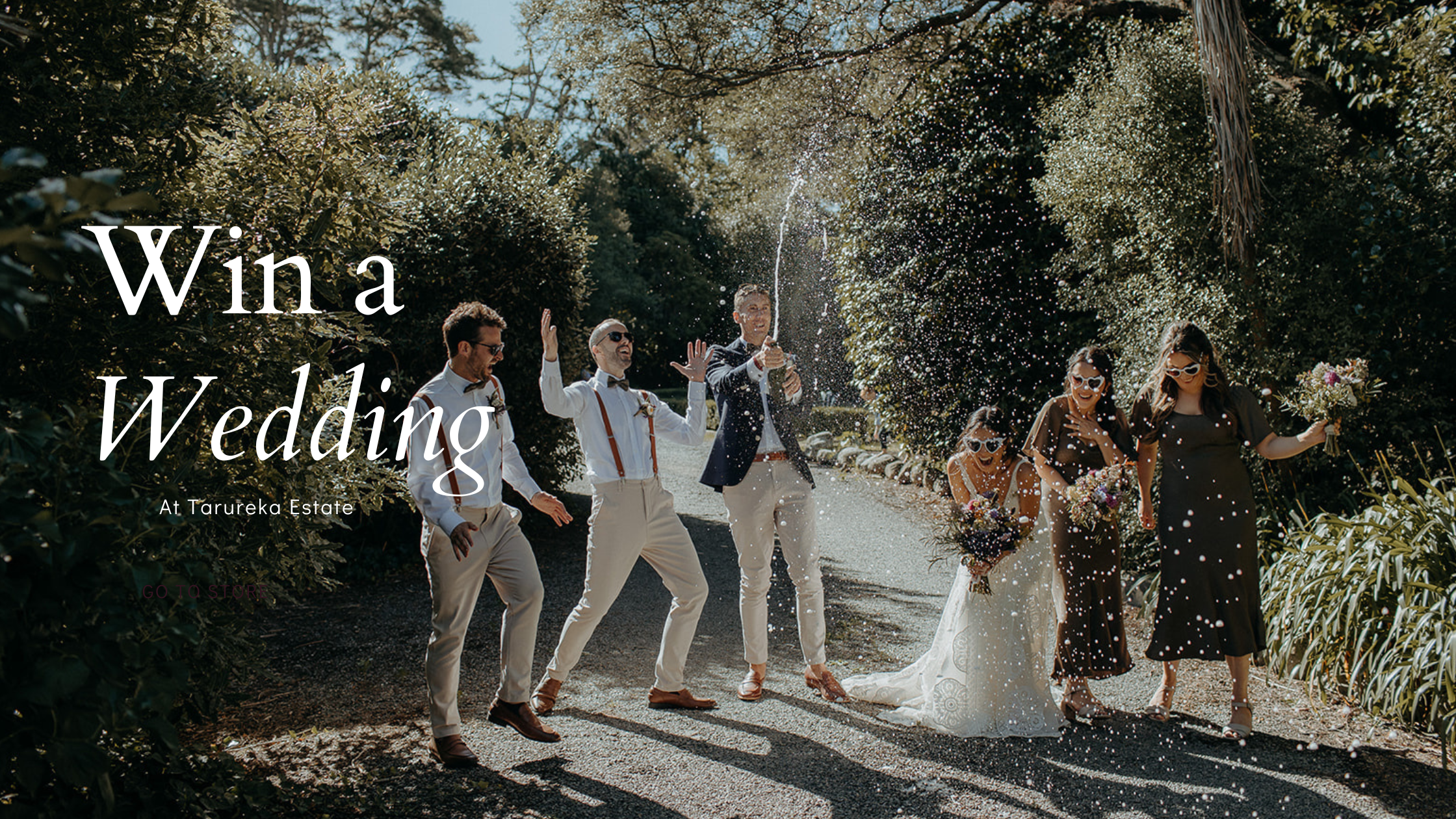 win a wedding website banner .png