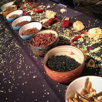 Bug Bar-EIA.jpg